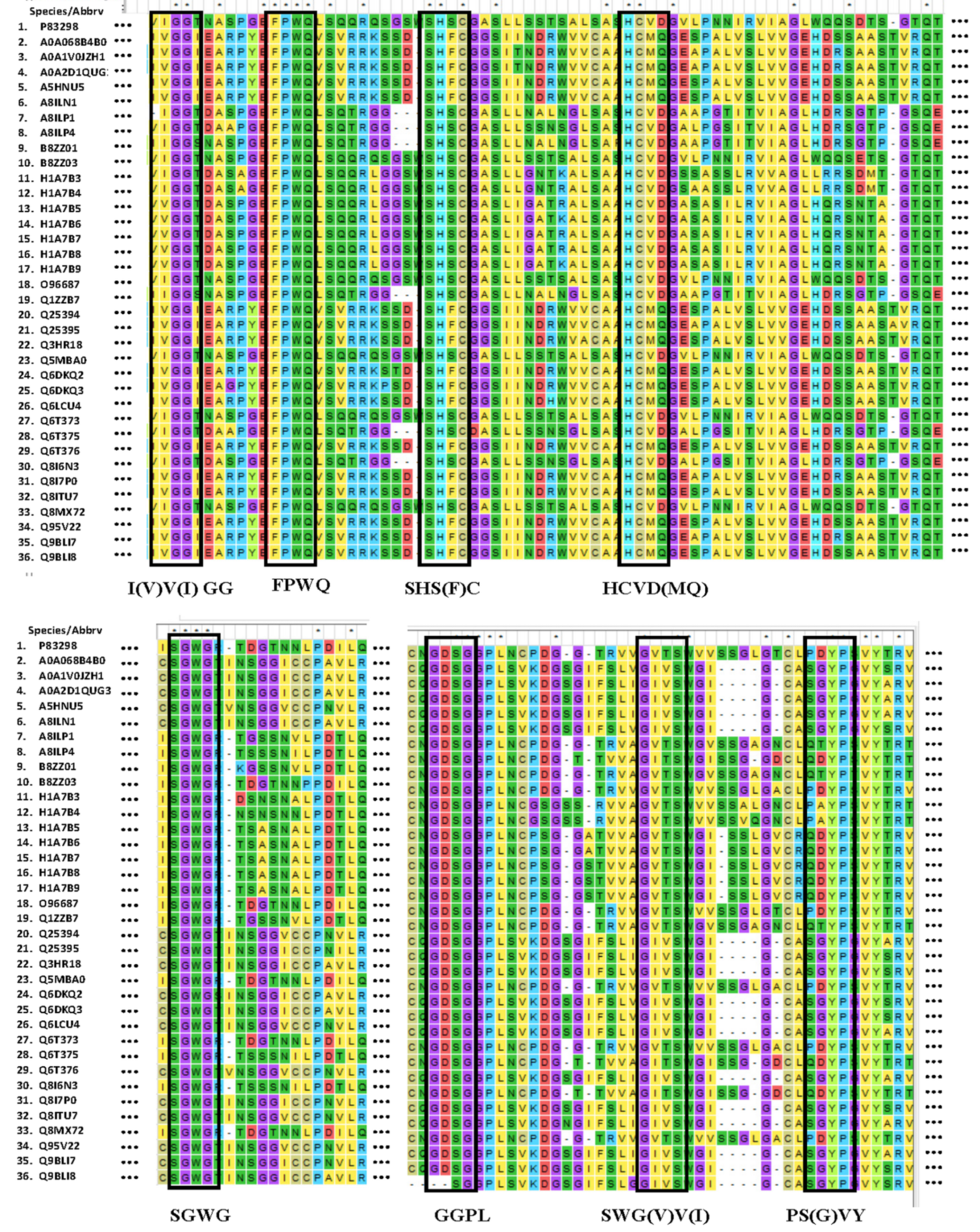 Molecules 27 02651 g002