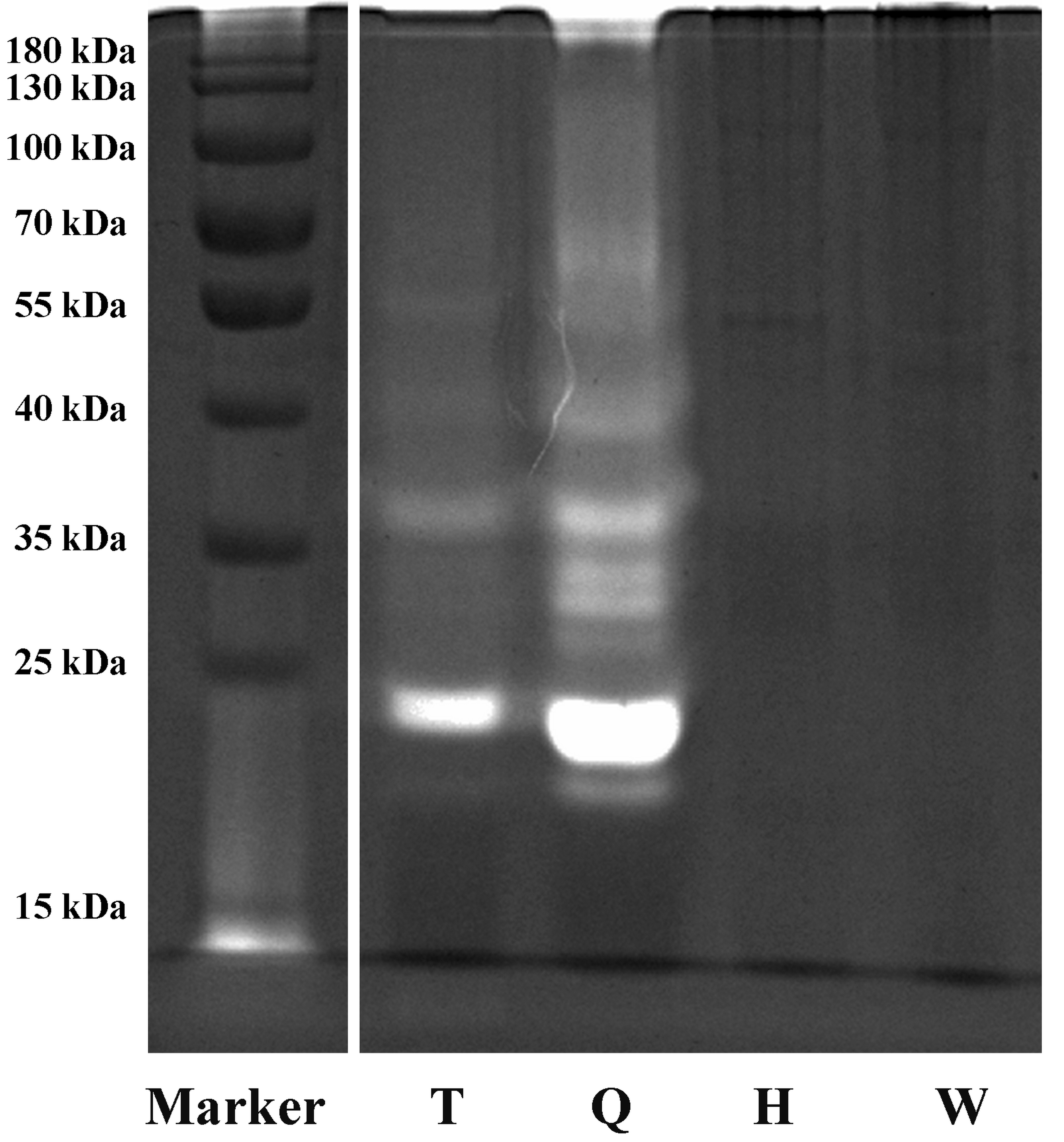 Molecules 27 02651 g003