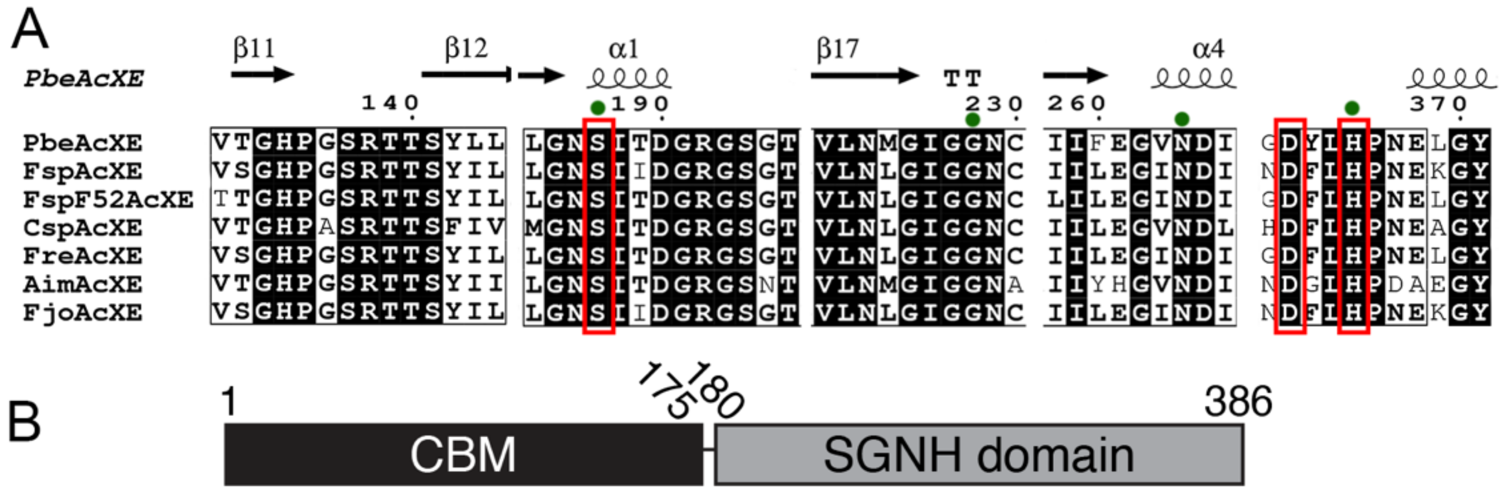 Molecules 27 02655 g001