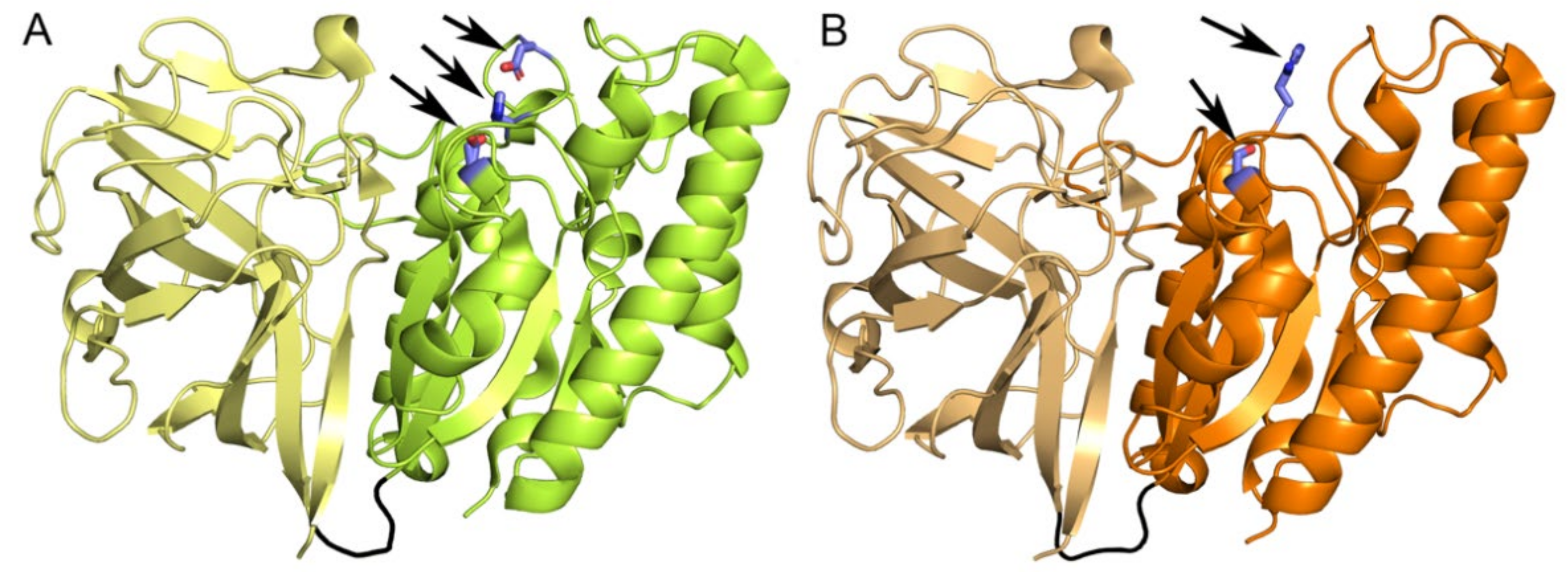 Molecules 27 02655 g004