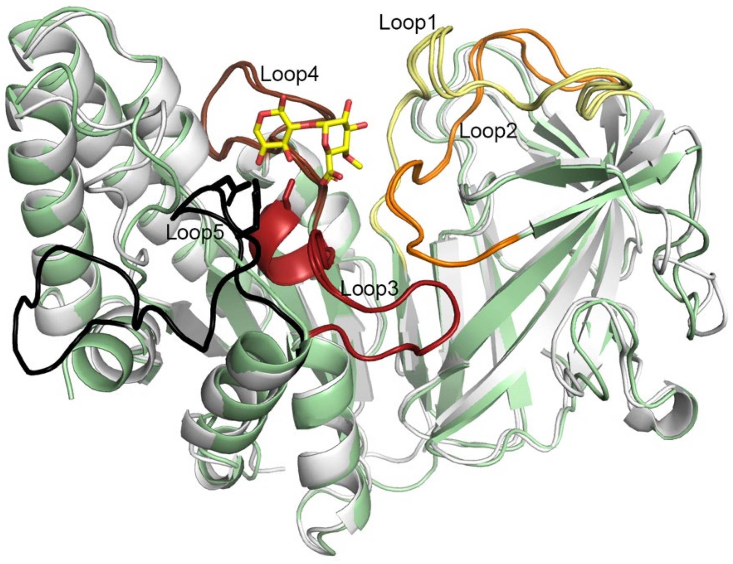 Molecules 27 02655 g007