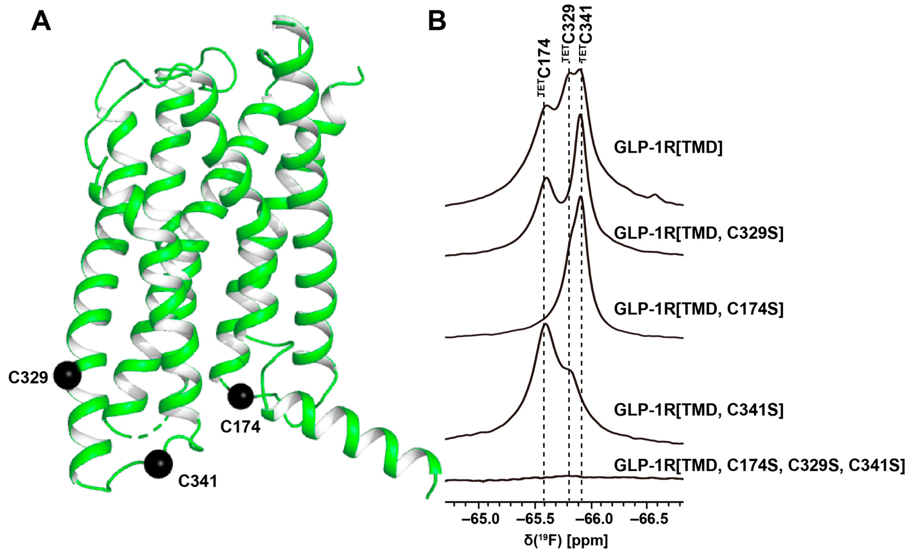 Molecules 27 02658 g004 550