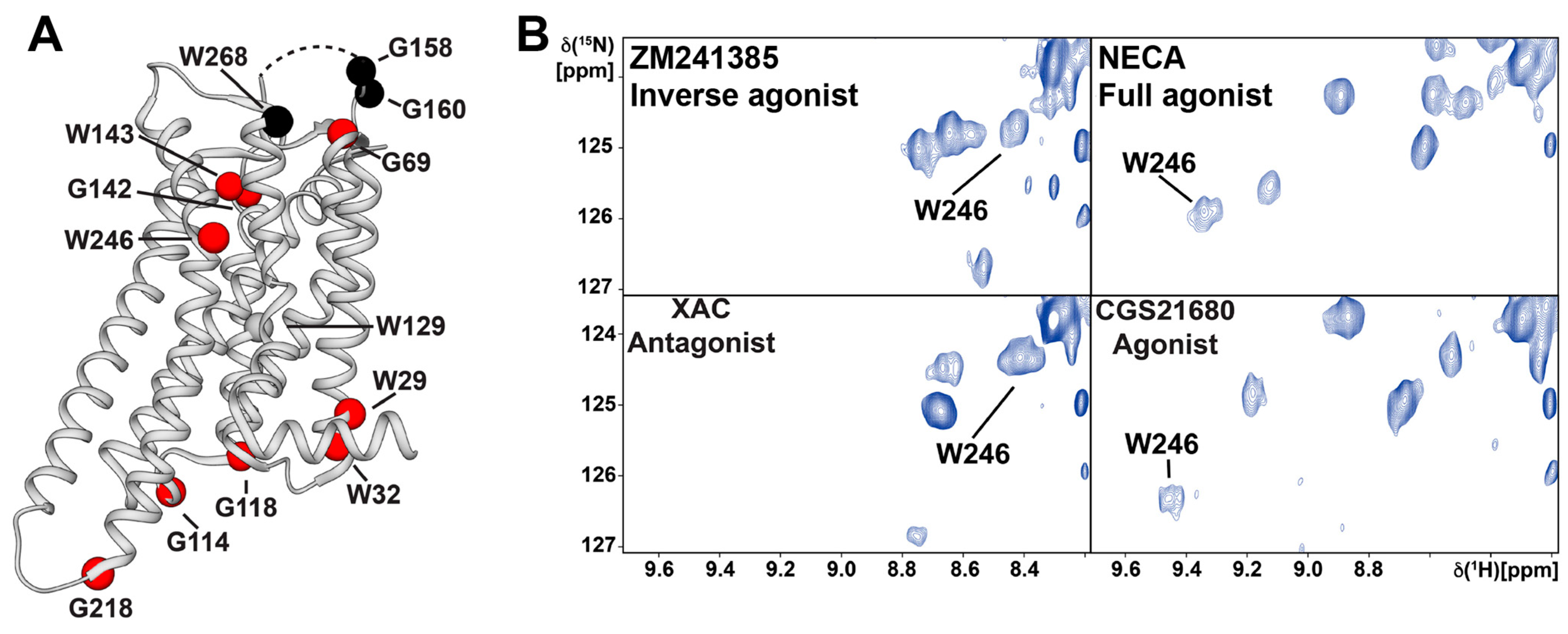 Molecules 27 02658 g005 550