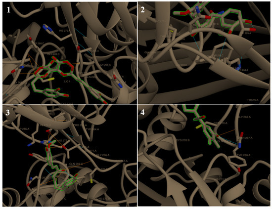 Docking Analysis of Some Bioactive Compounds from Traditional Plants ...