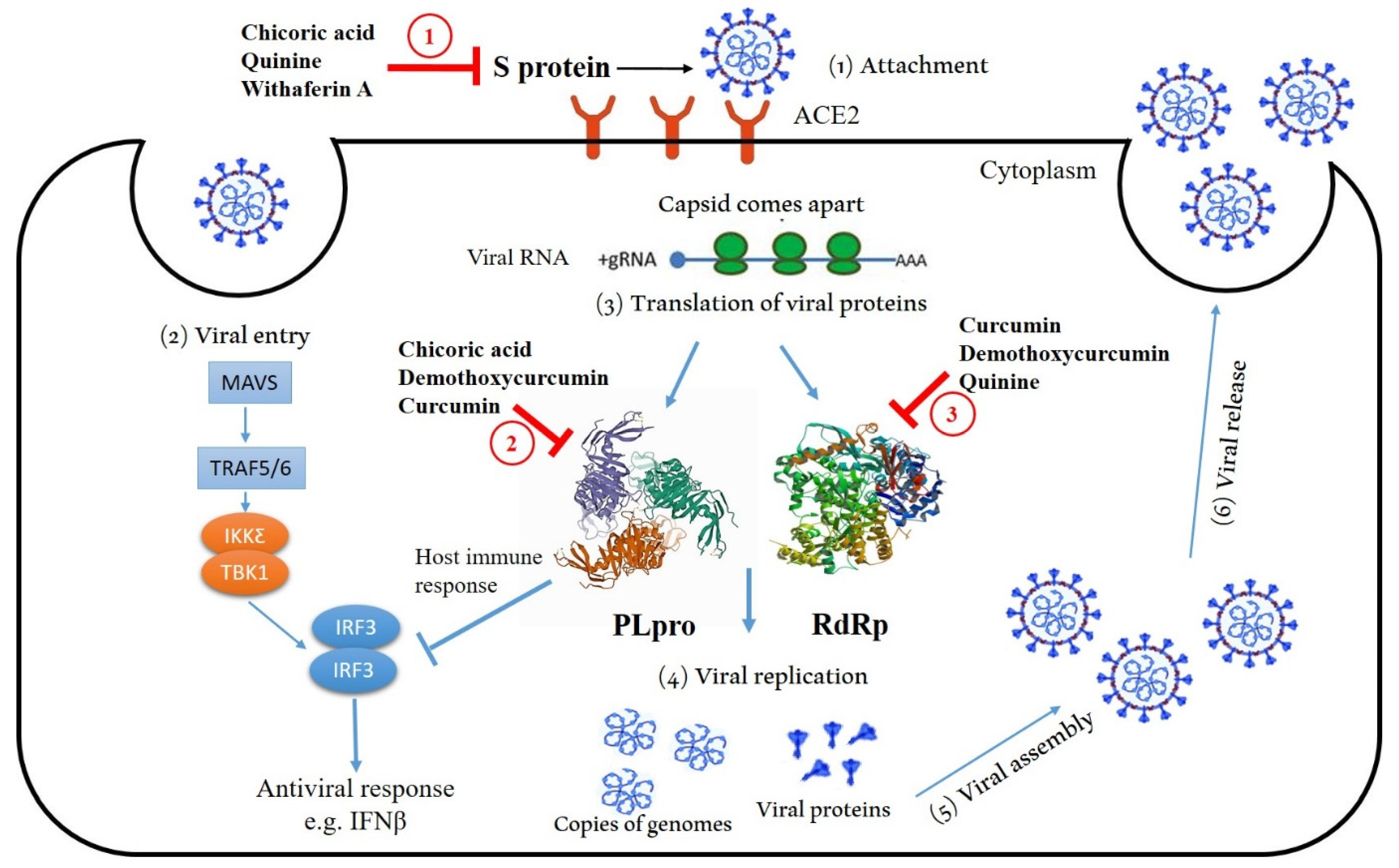 Molecules 27 02662 g006