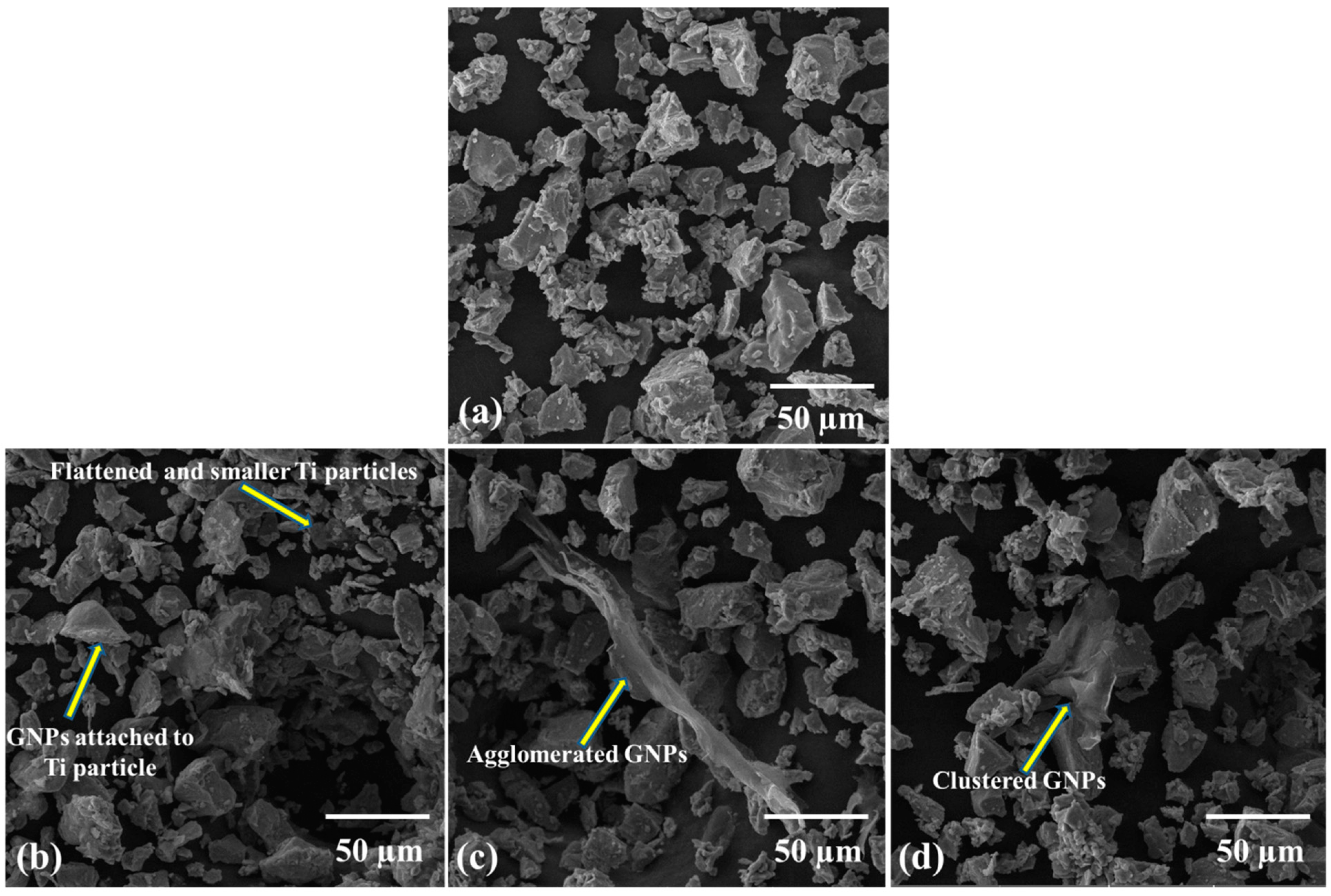 Molecules 27 02666 g002