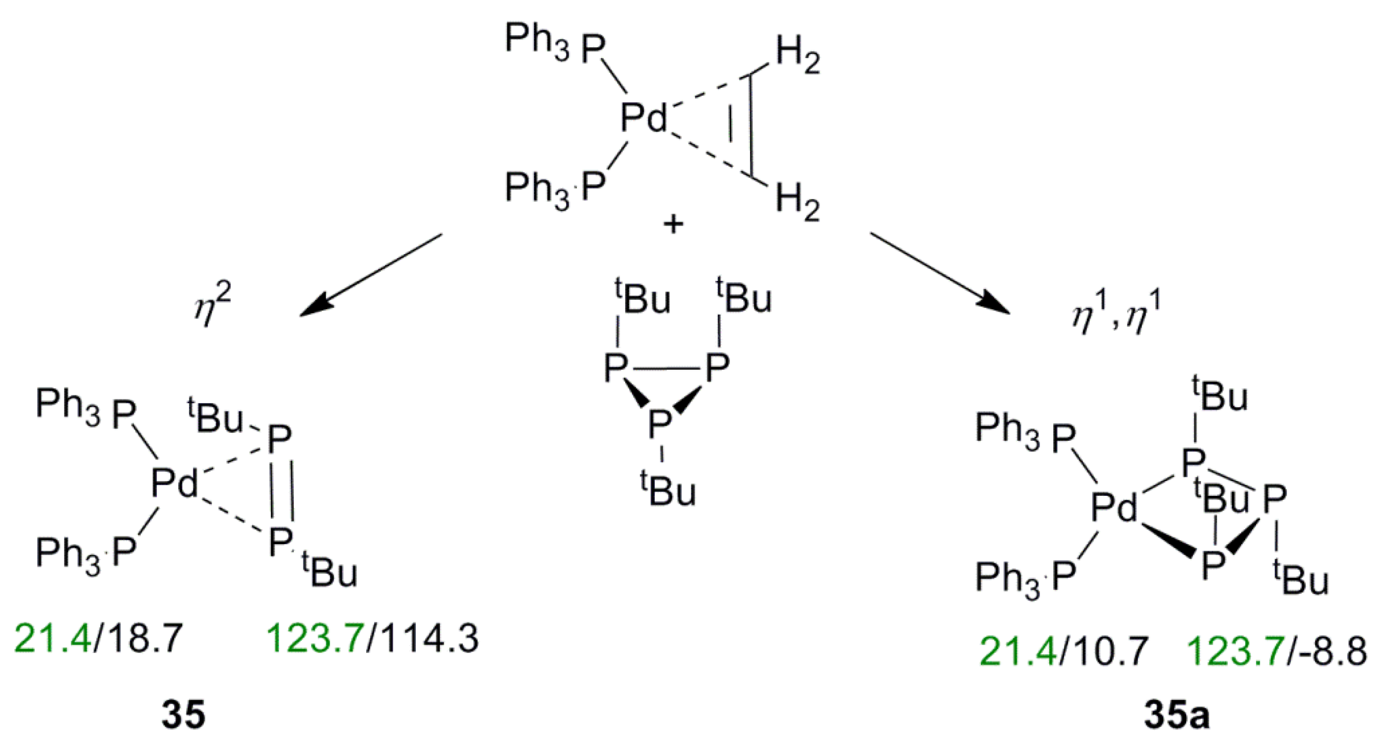 Molecules 27 02668 g006
