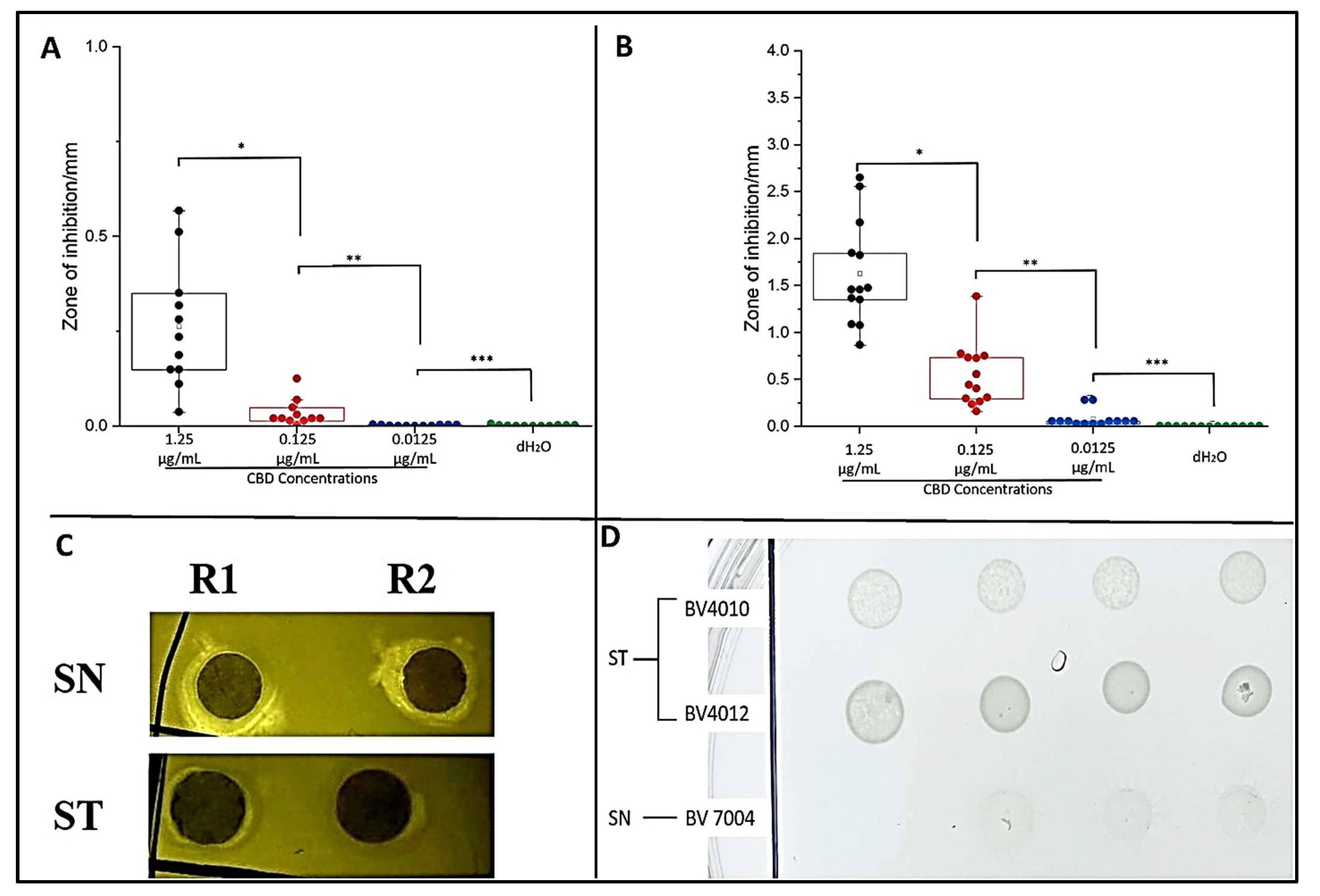 Molecules 27 02669 g002
