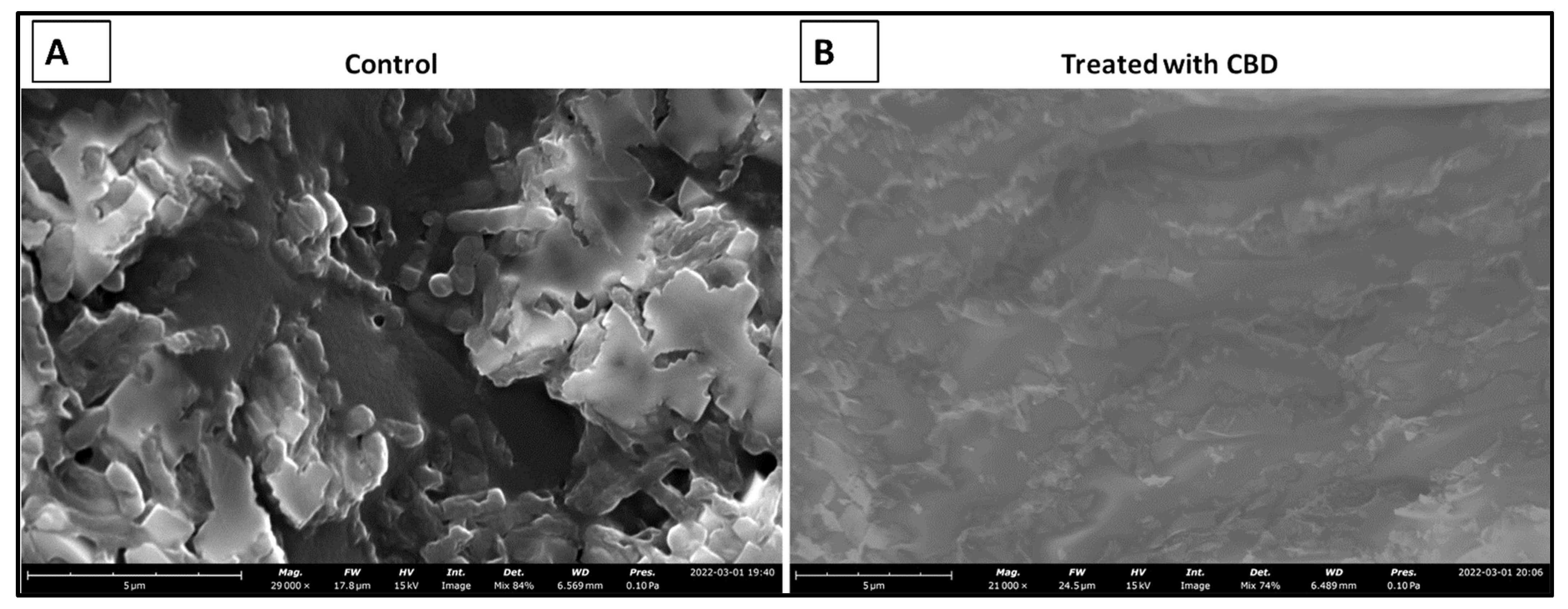 Molecules 27 02669 g007