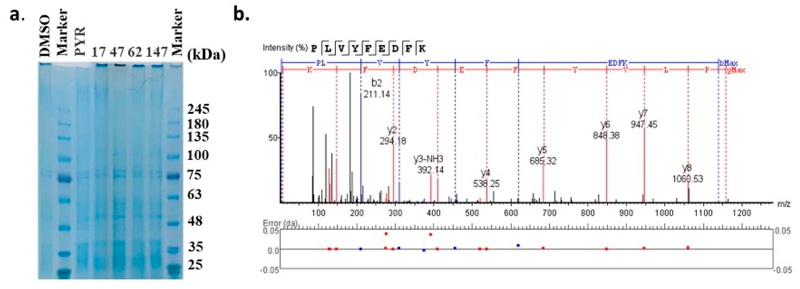 Molecules 27 02670 g006