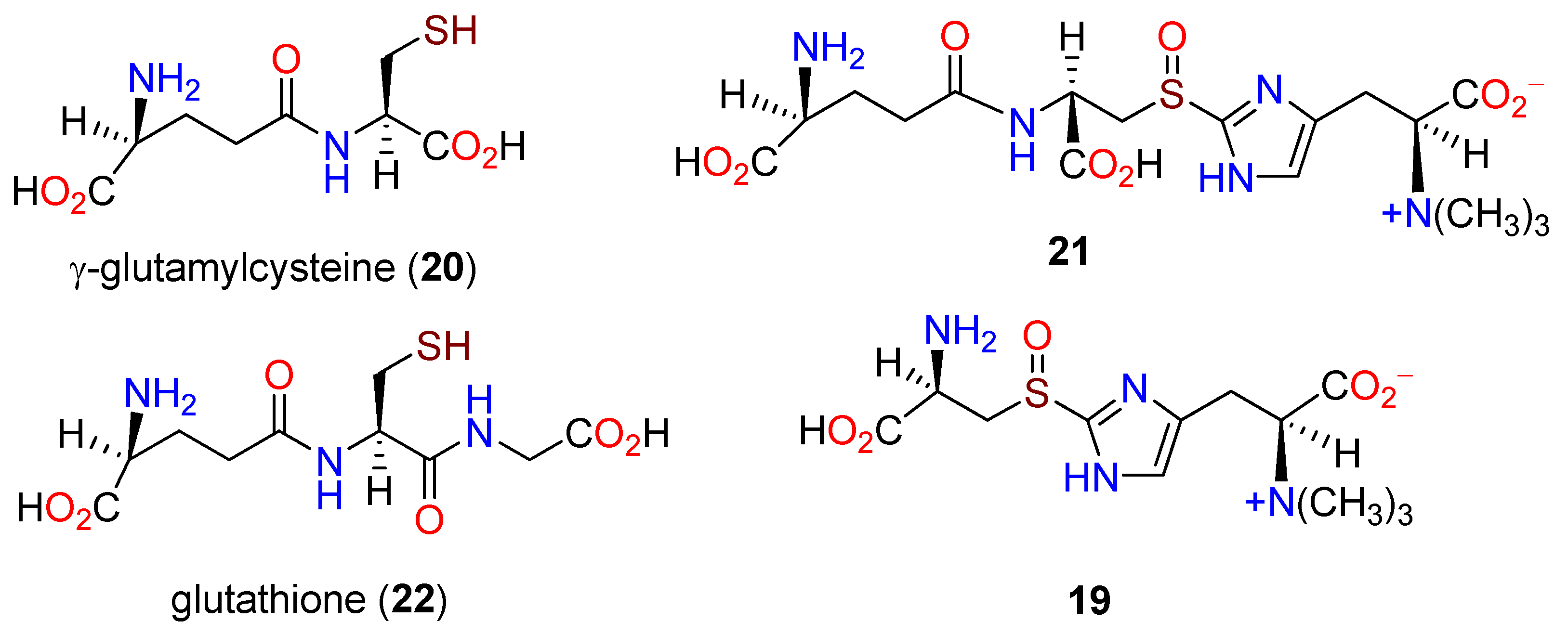 Molecules 27 02673 g004 Molecules 27 02673 g004
