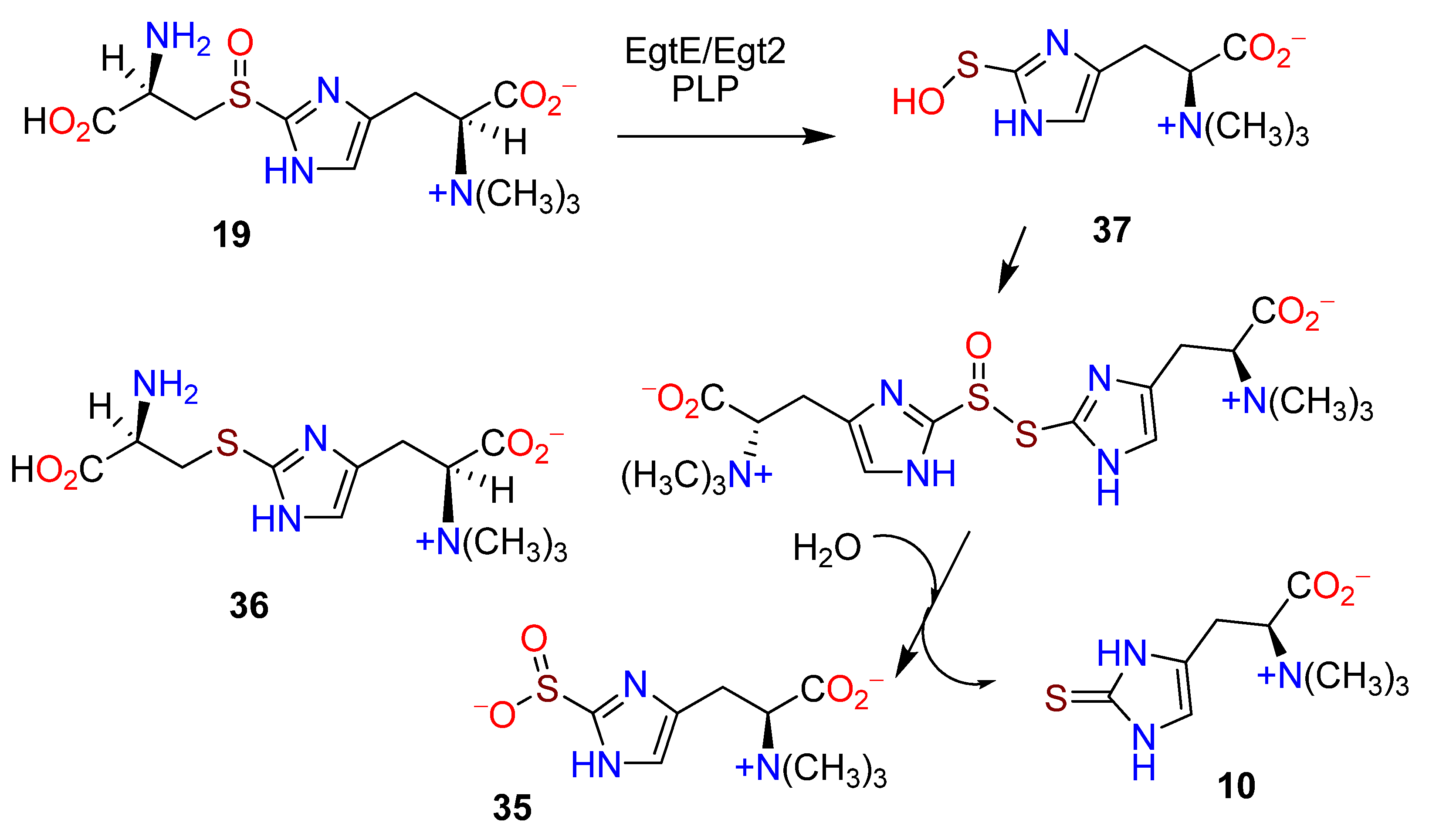 Molecules 27 02673 g007 Molecules 27 02673 g007