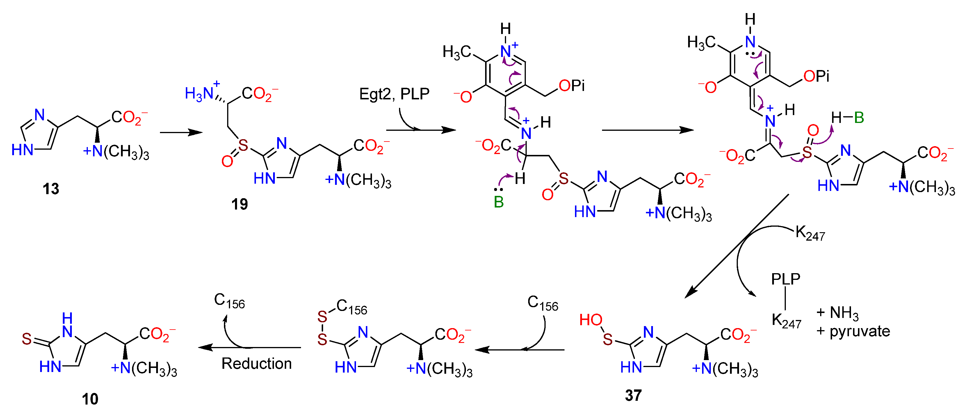 Molecules 27 02673 g008 Molecules 27 02673 g008