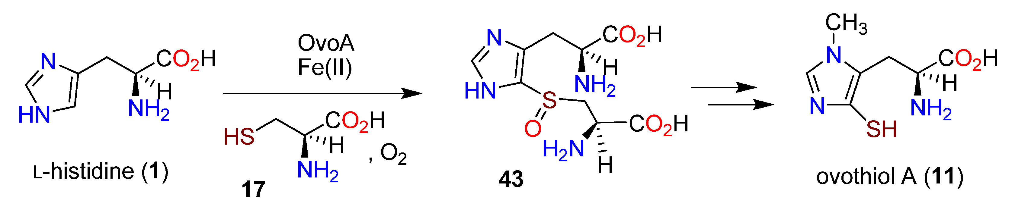 Molecules 27 02673 g010 Molecules 27 02673 g010