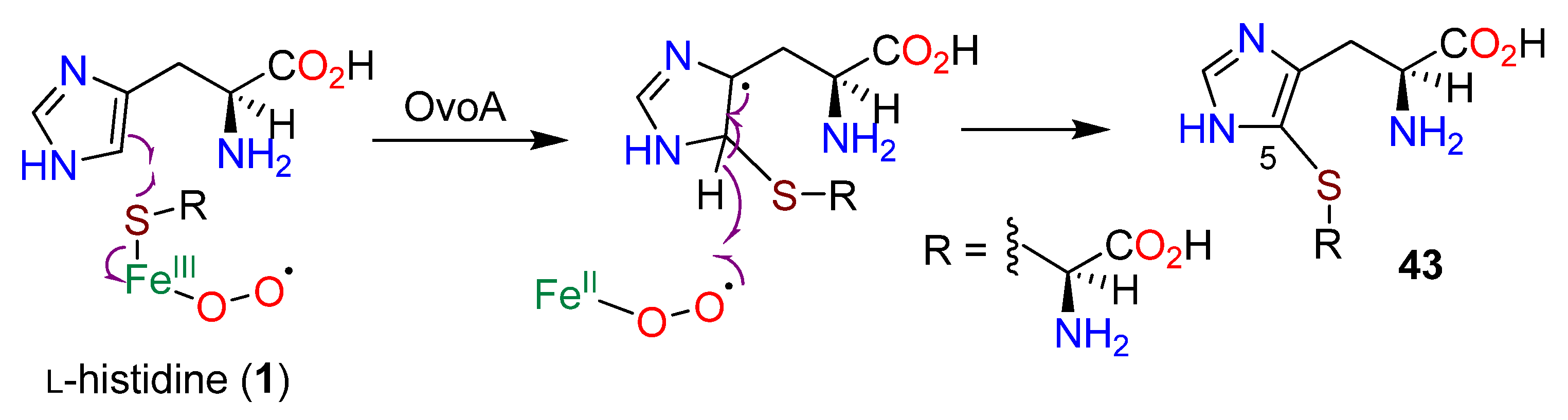 Molecules 27 02673 g012 Molecules 27 02673 g012