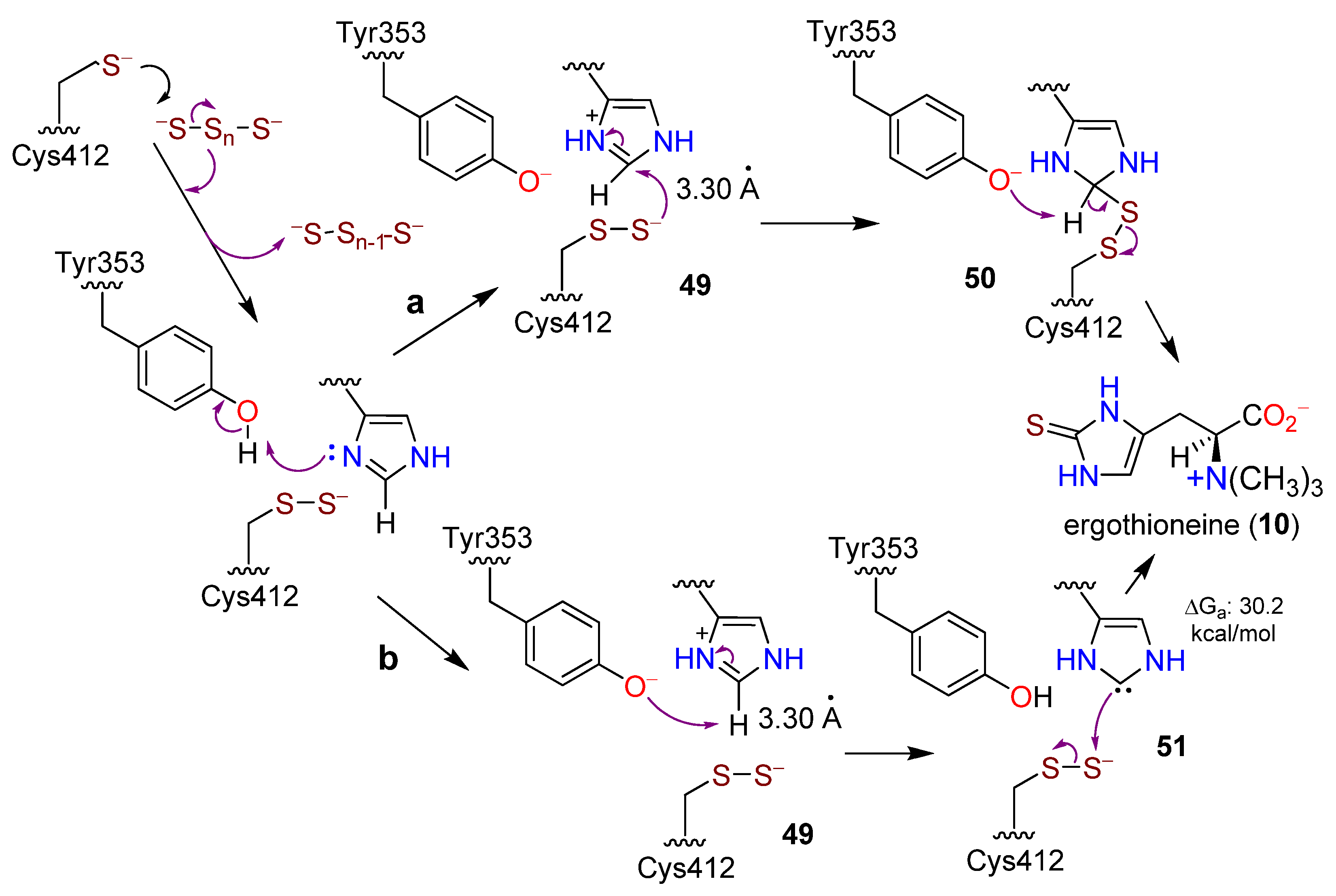 Molecules 27 02673 g015 Molecules 27 02673 g015