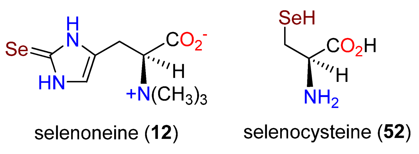 Molecules 27 02673 g016 Molecules 27 02673 g016
