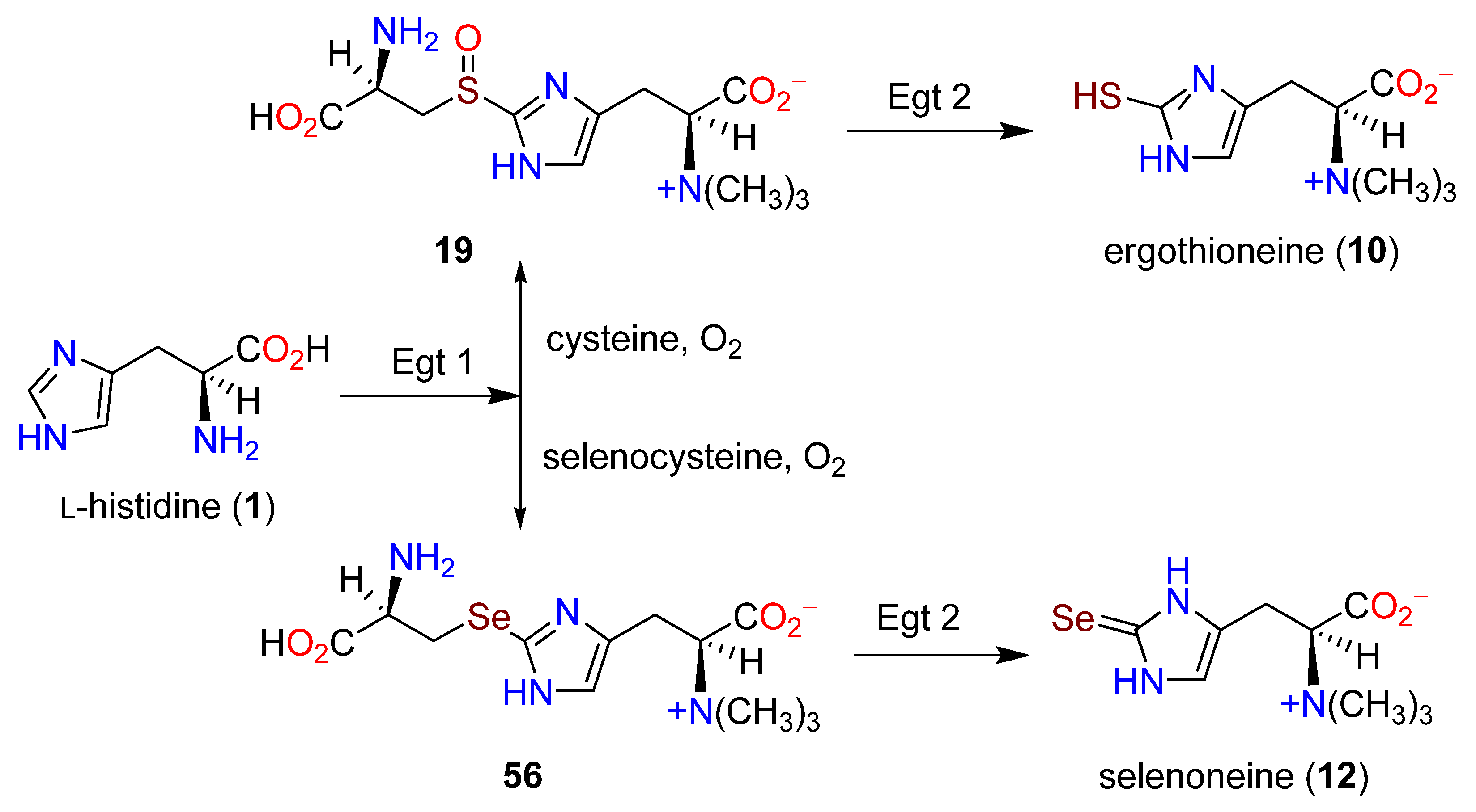 Molecules 27 02673 g019 Molecules 27 02673 g019