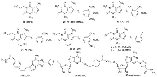 Adenosine Receptor Antagonists: Translating Medicinal Chemistry and  Pharmacology into Clinical Utility