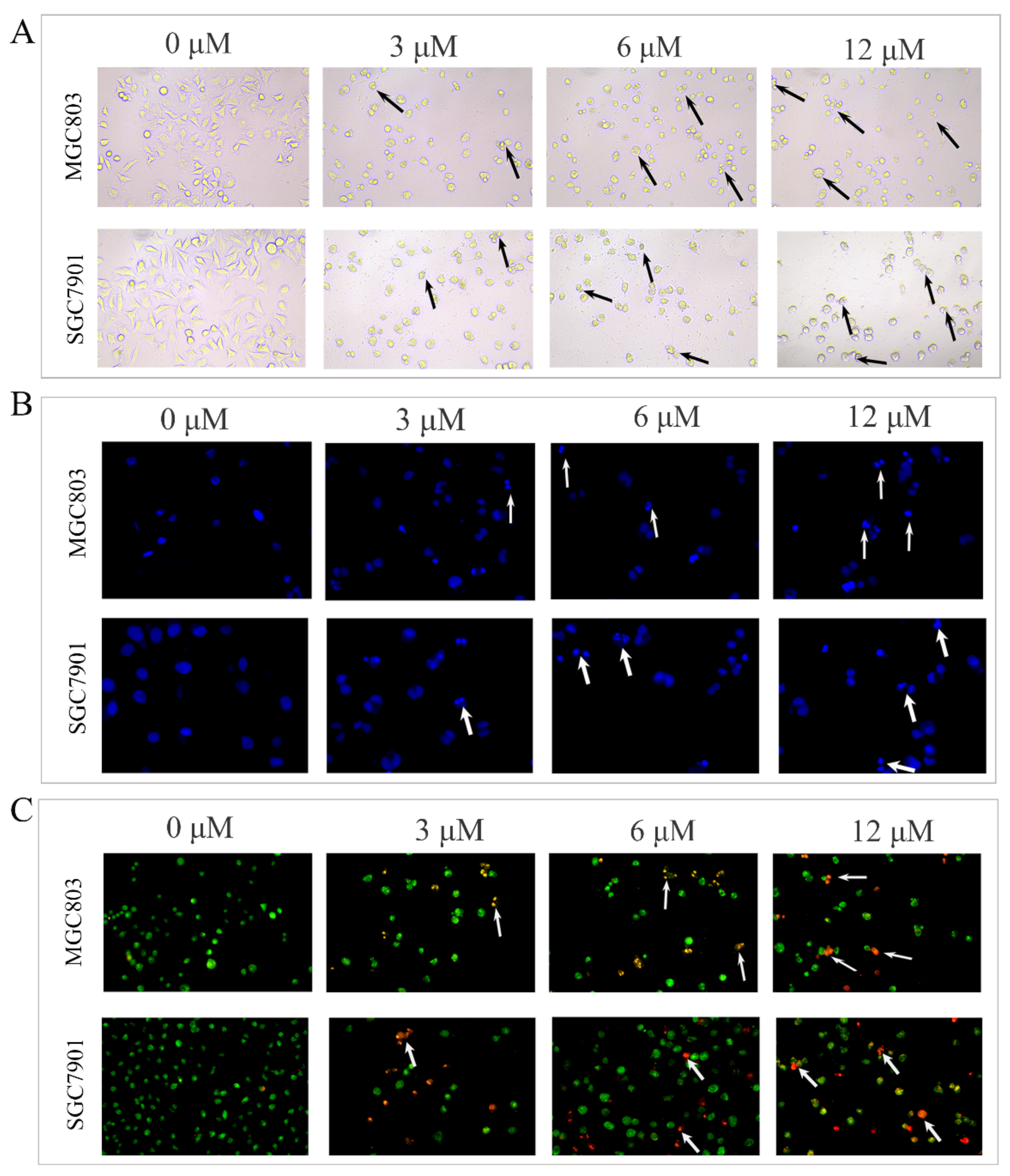 Molecules 27 02697 g002
