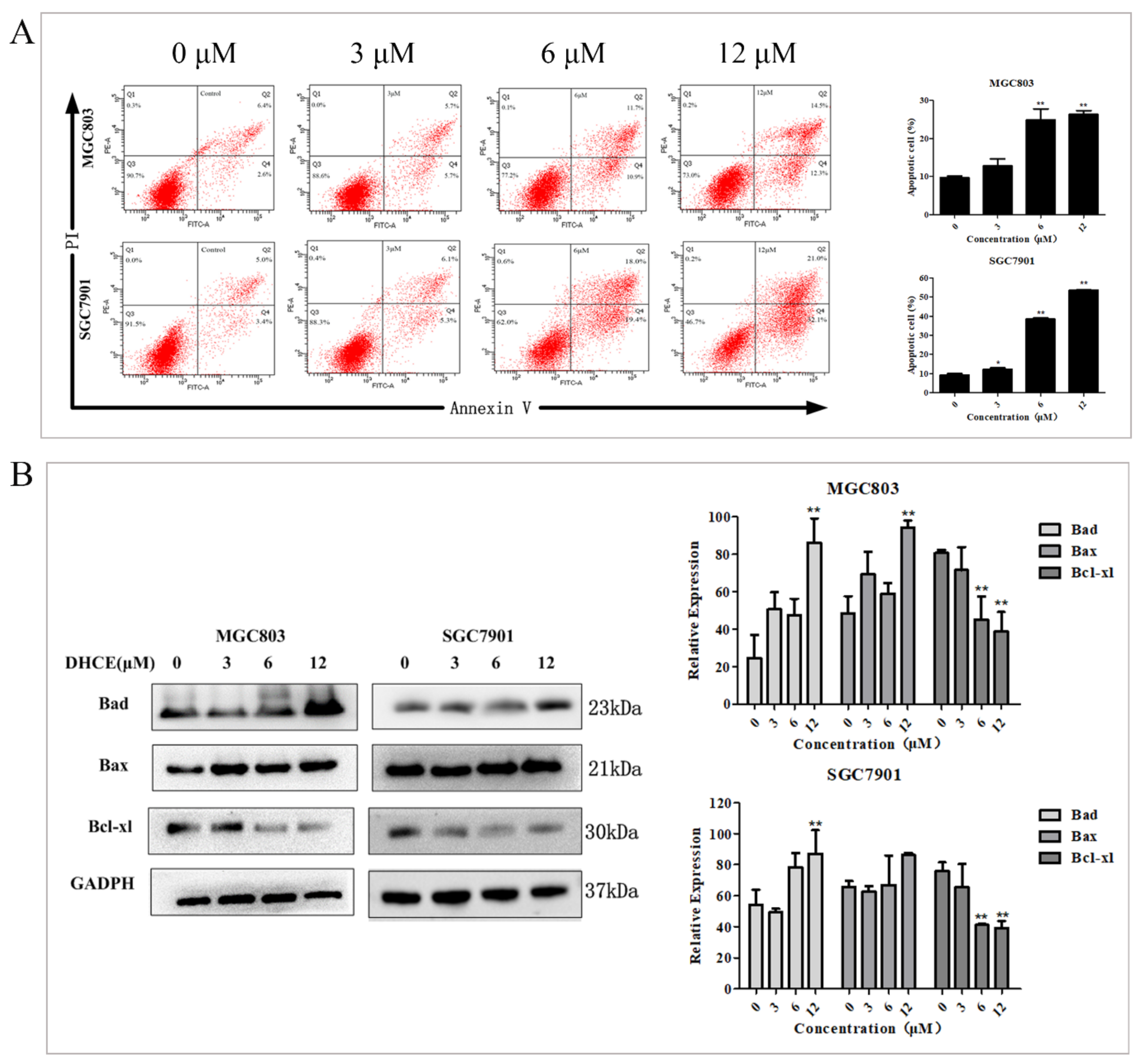 Molecules 27 02697 g003