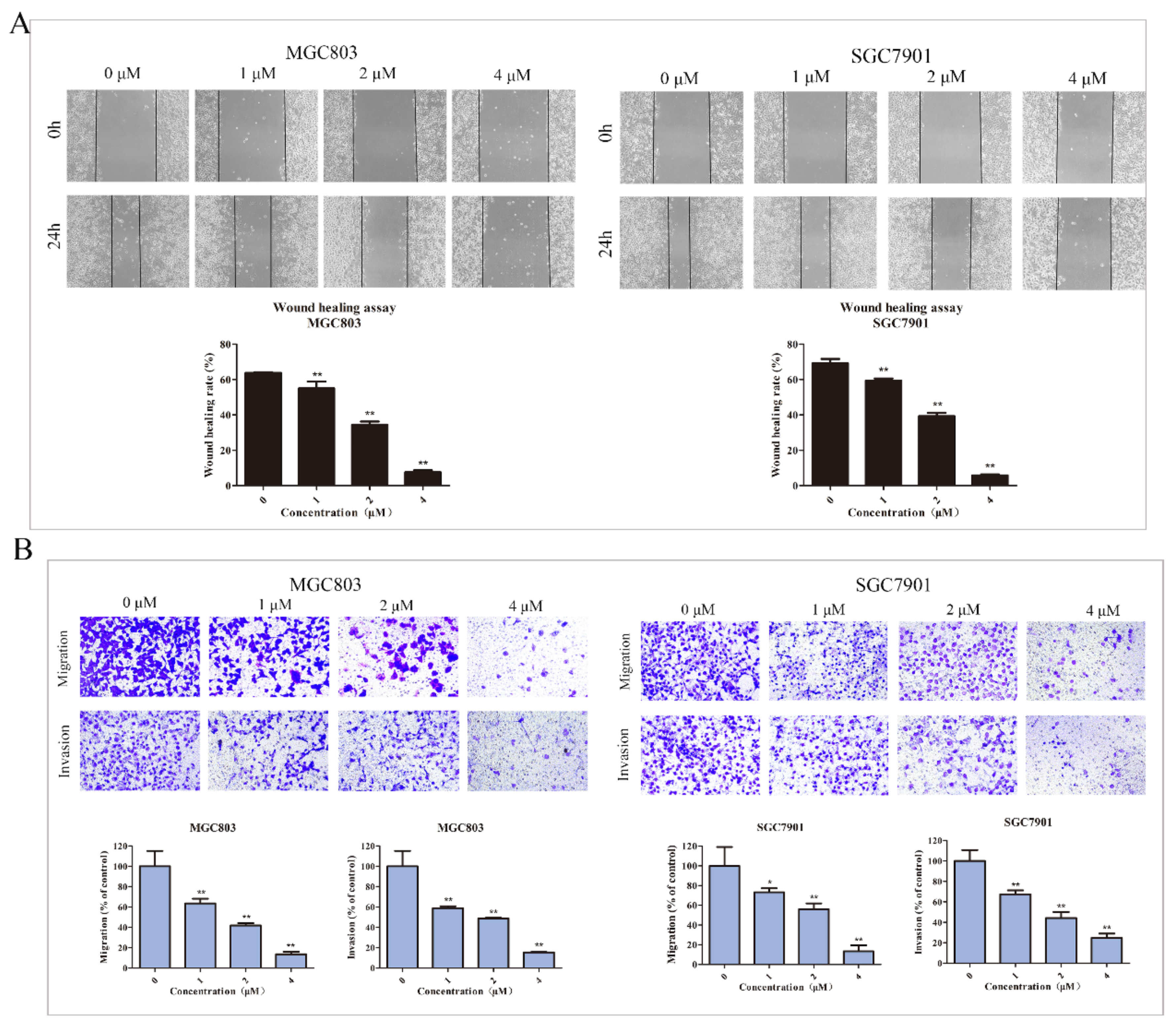 Molecules 27 02697 g005