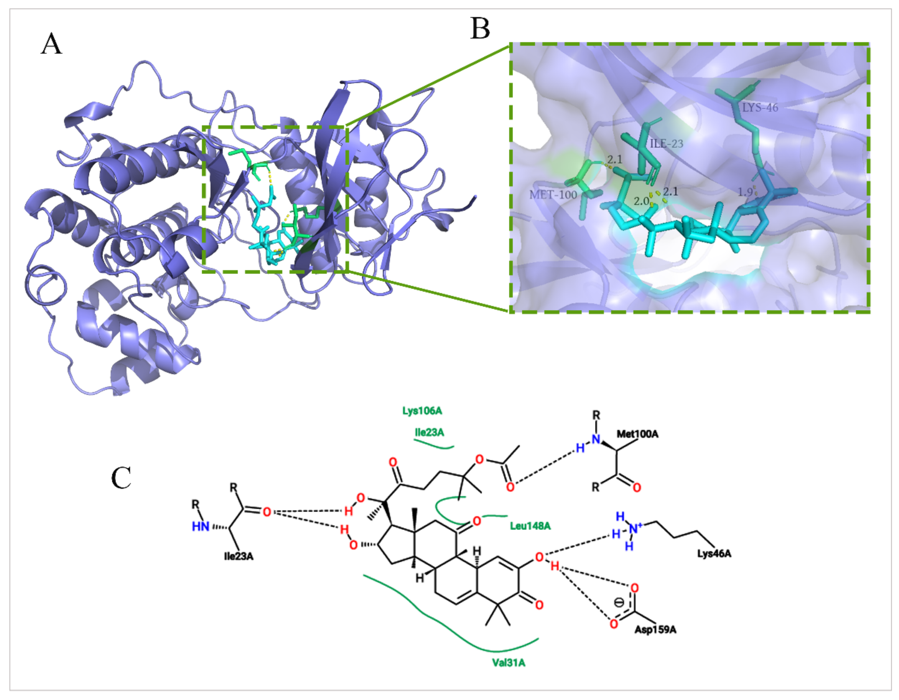 Molecules 27 02697 g007