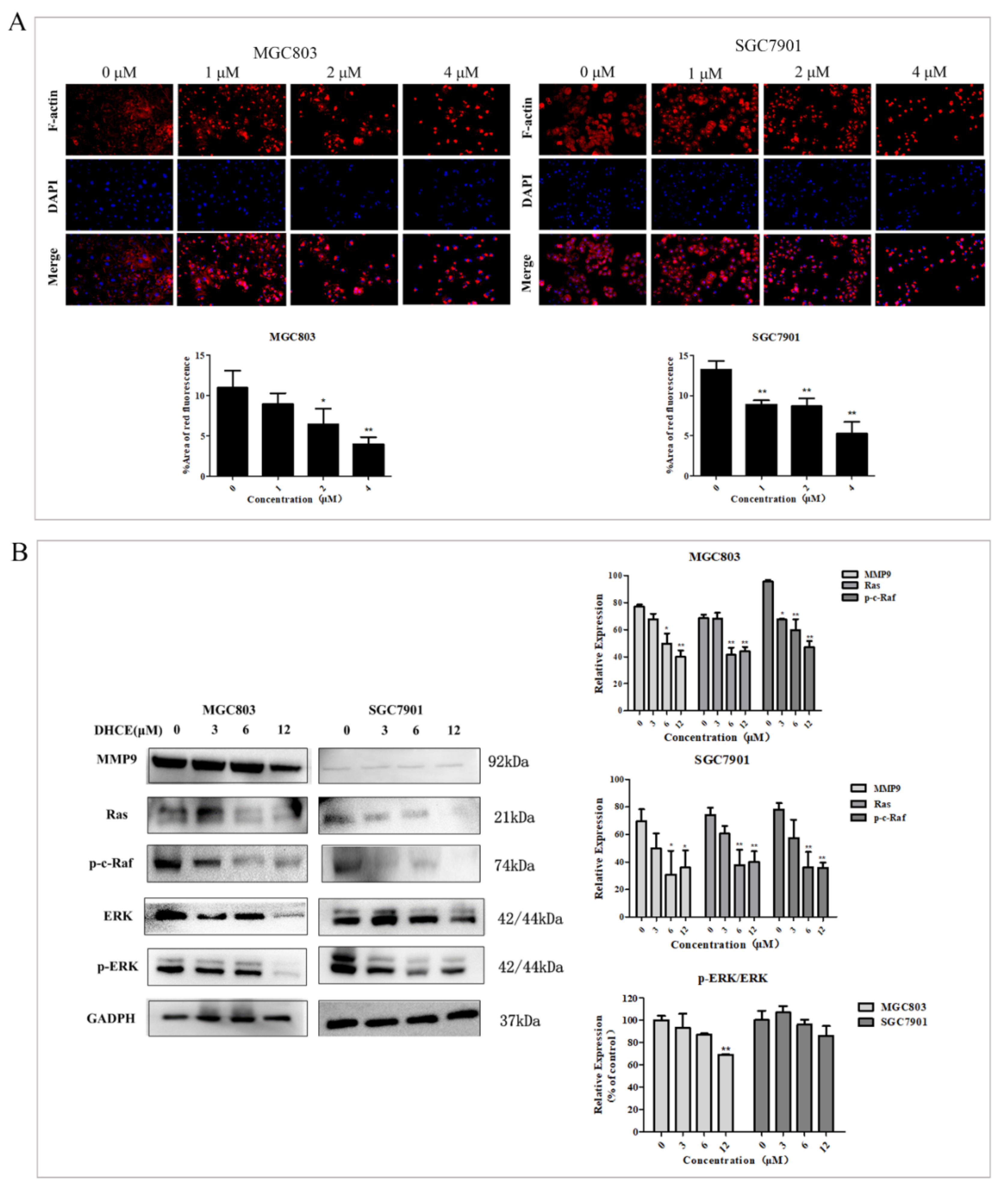 Molecules 27 02697 g008