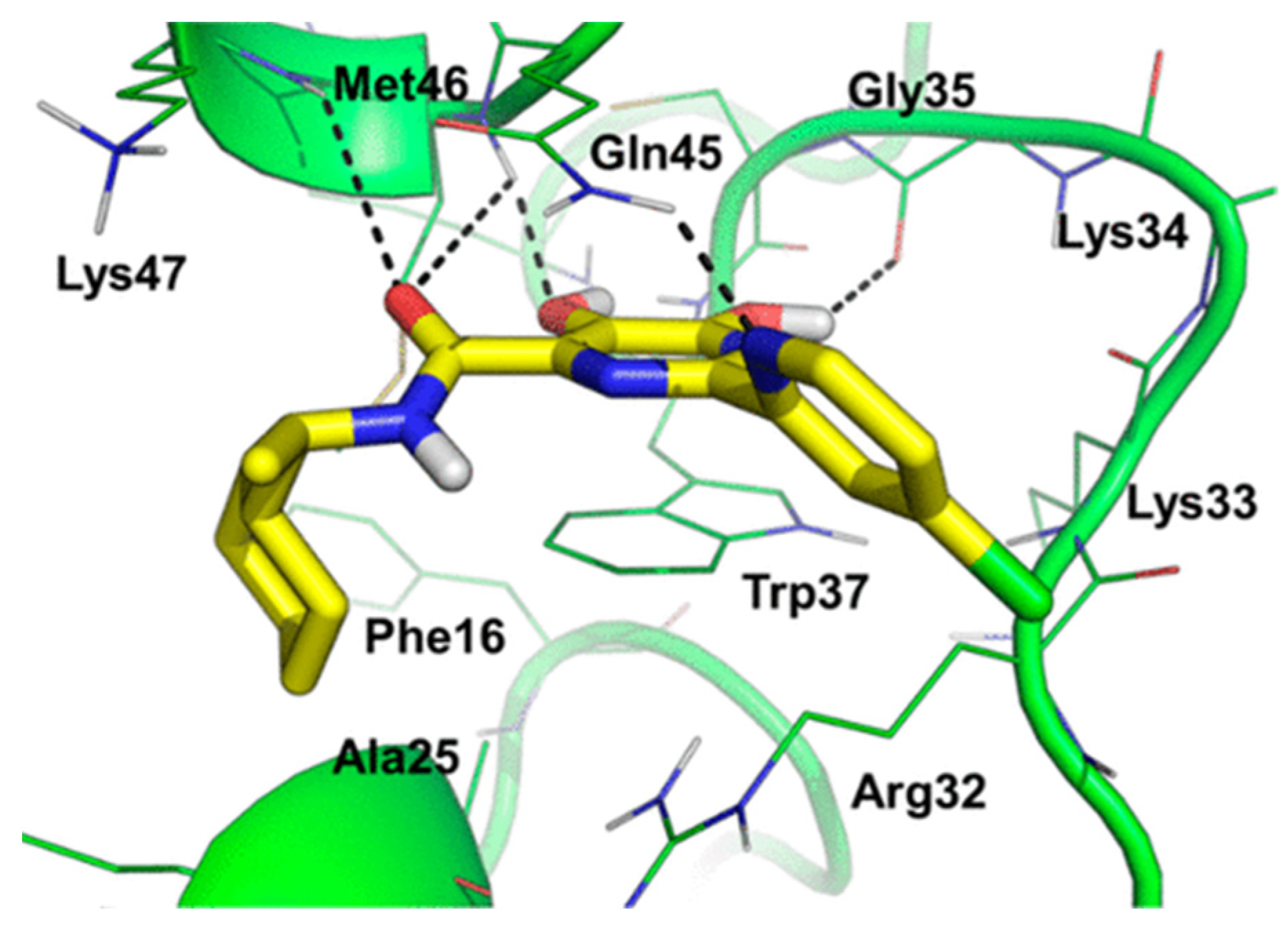 Molecules 27 02700 g006