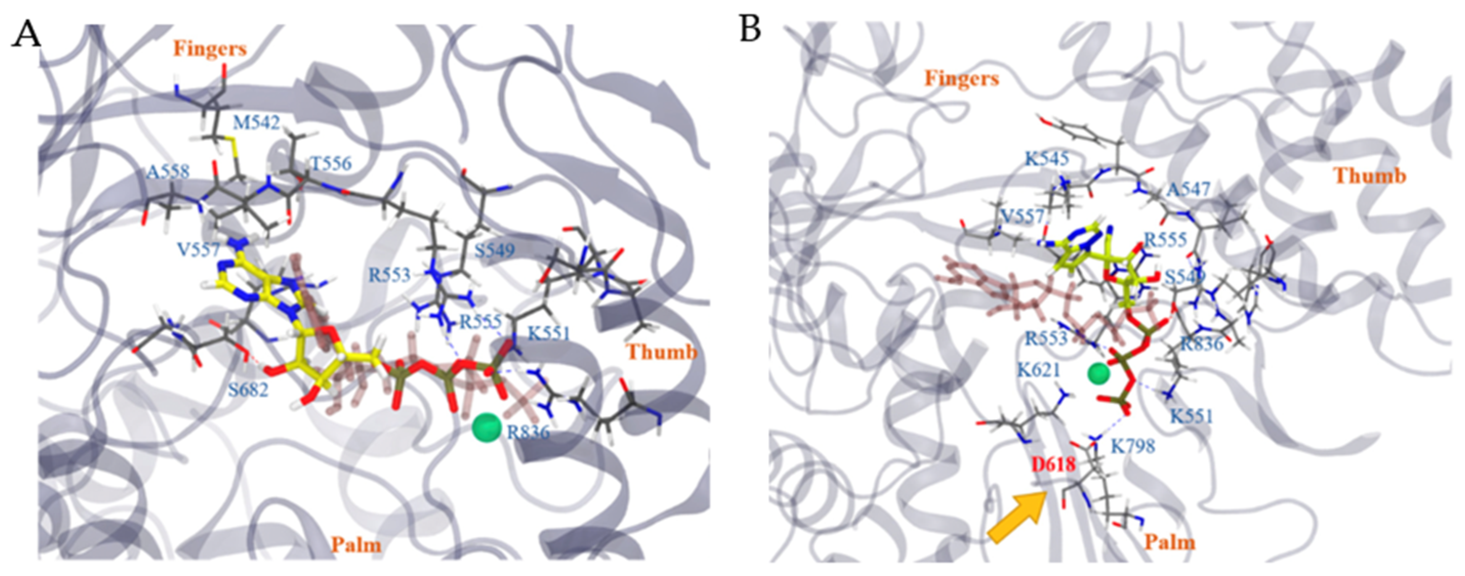 Molecules 27 02700 g011
