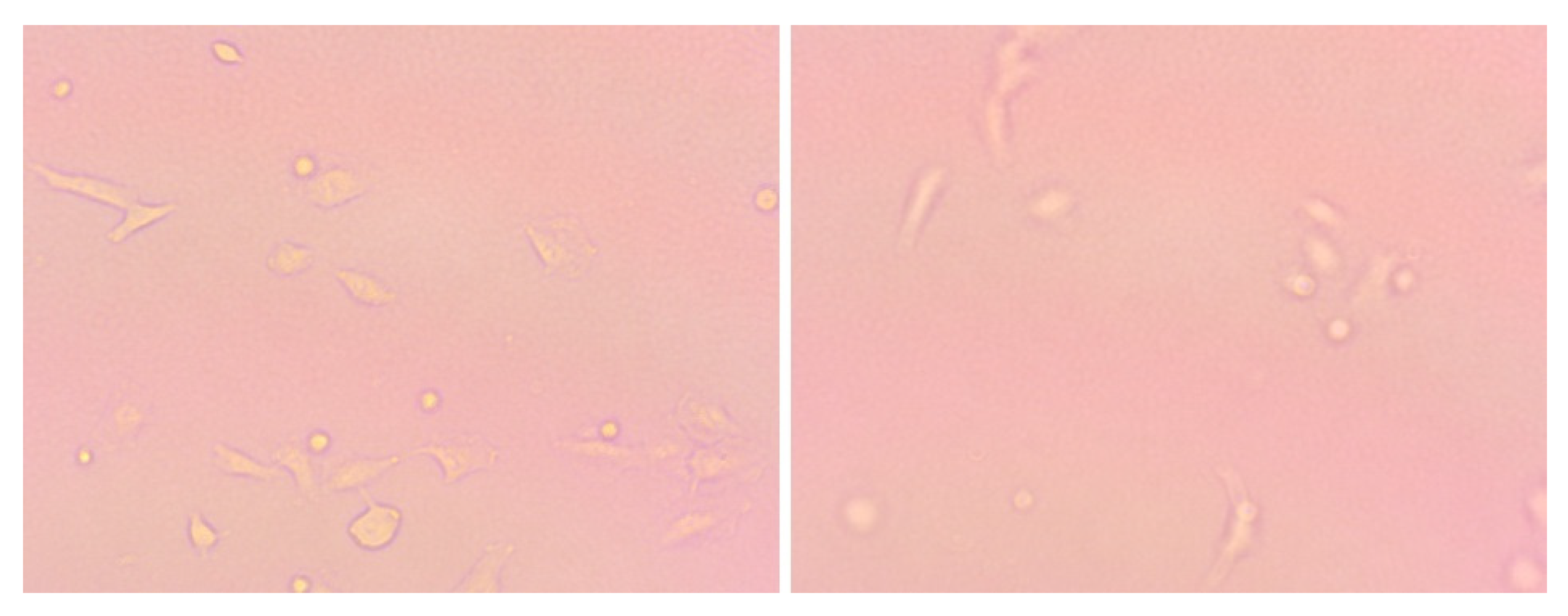 Molecules 27 02703 g011