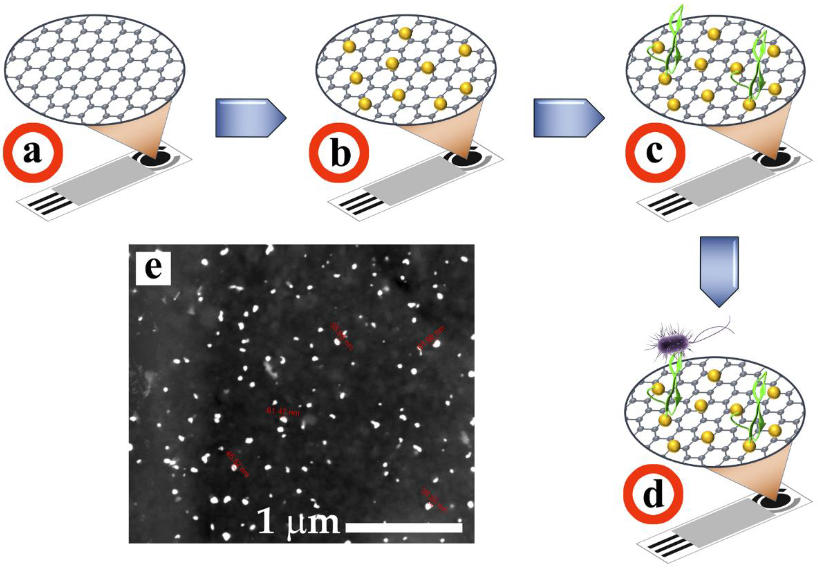 Molecules 27 02704 g003
