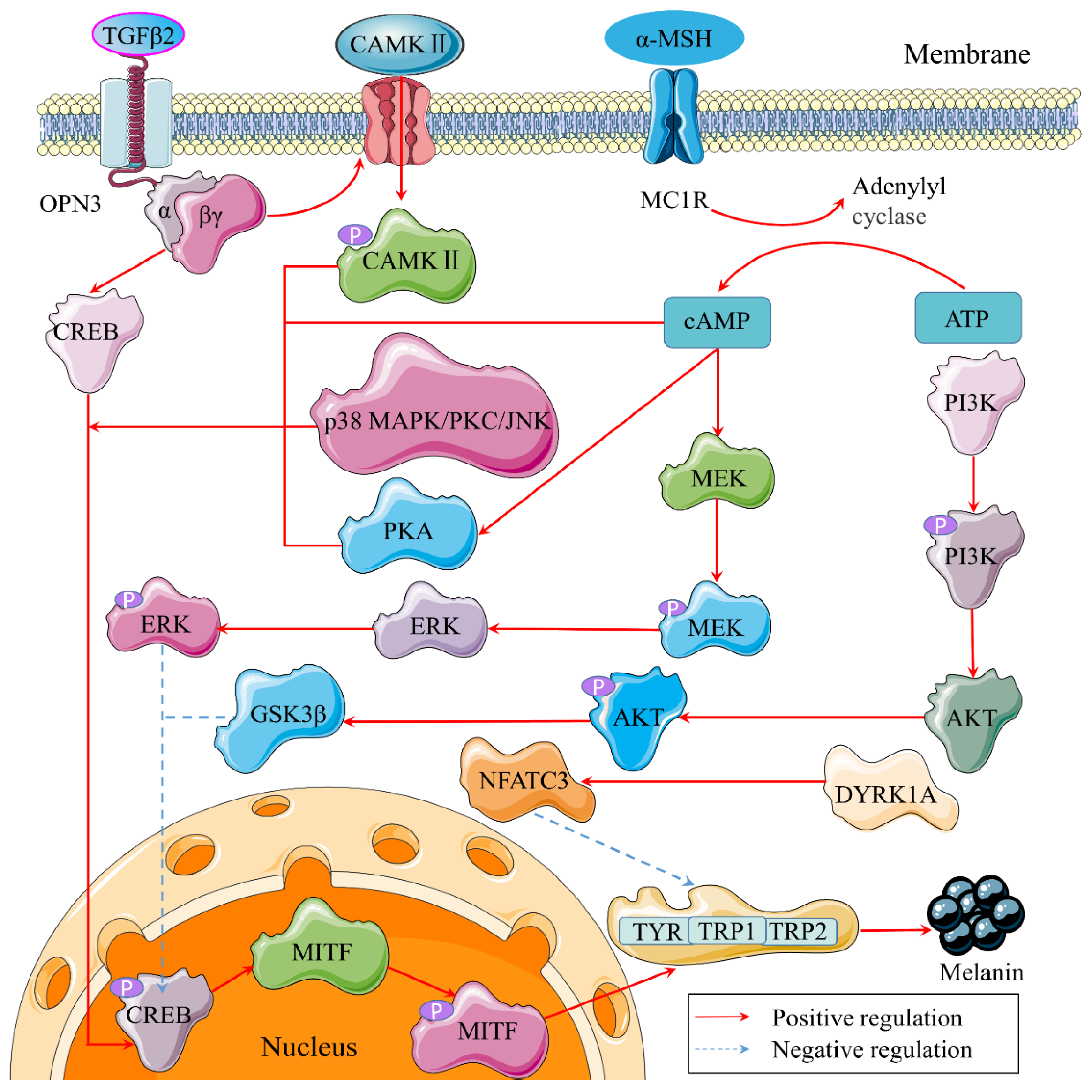 Molecules 27 02710 g003