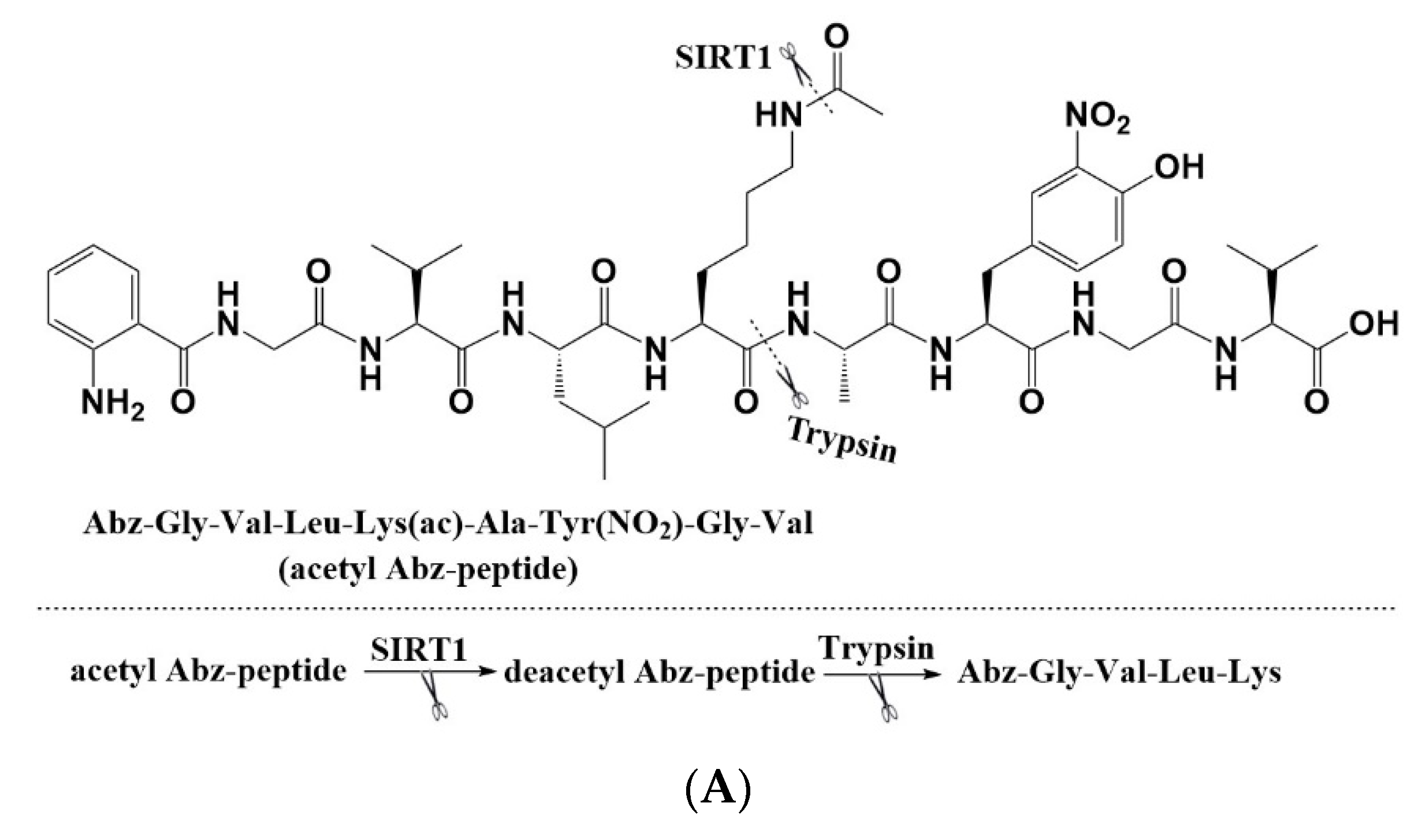 Molecules 27 02714 g003a 550
