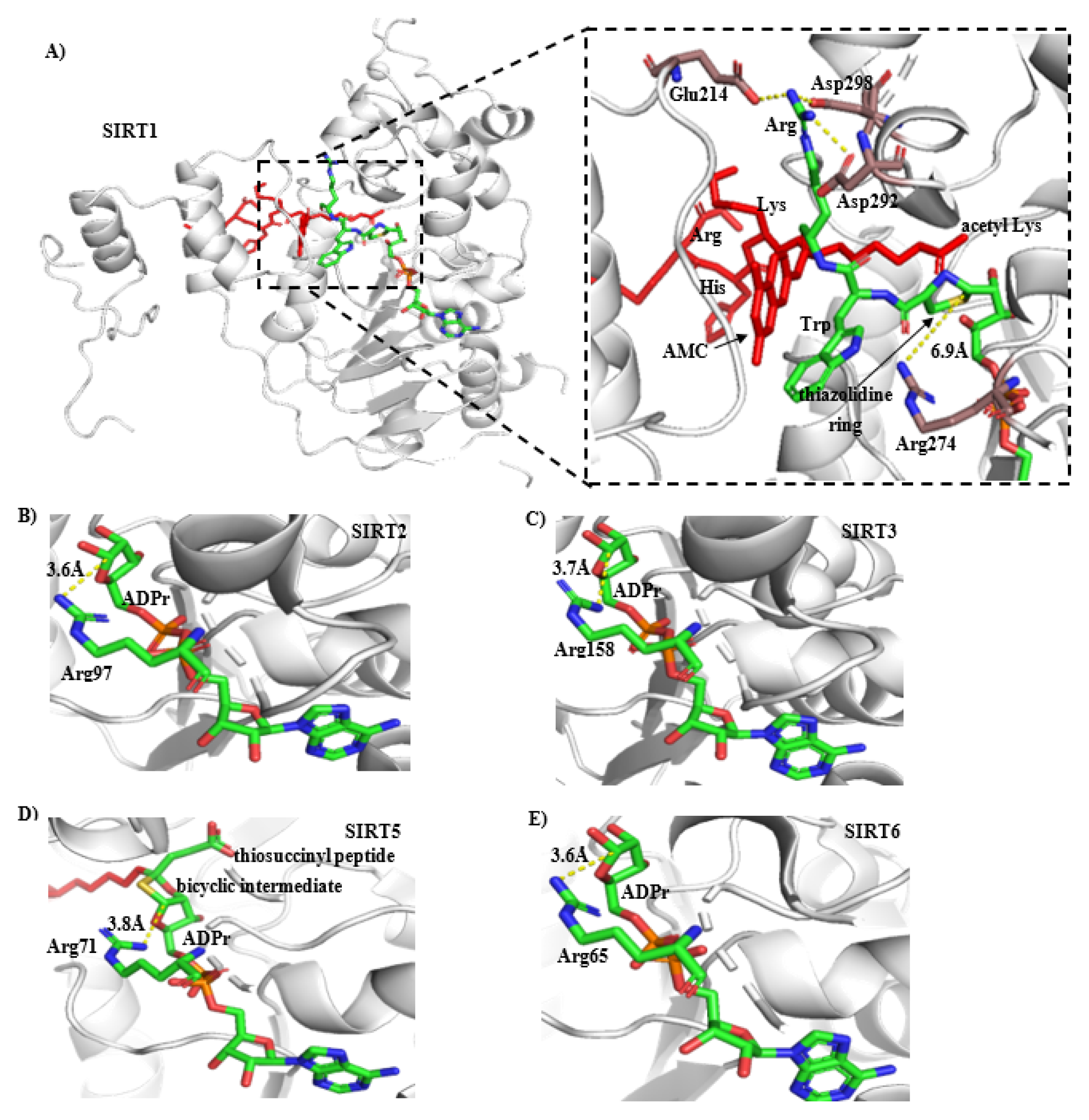 Molecules 27 02714 g008 550