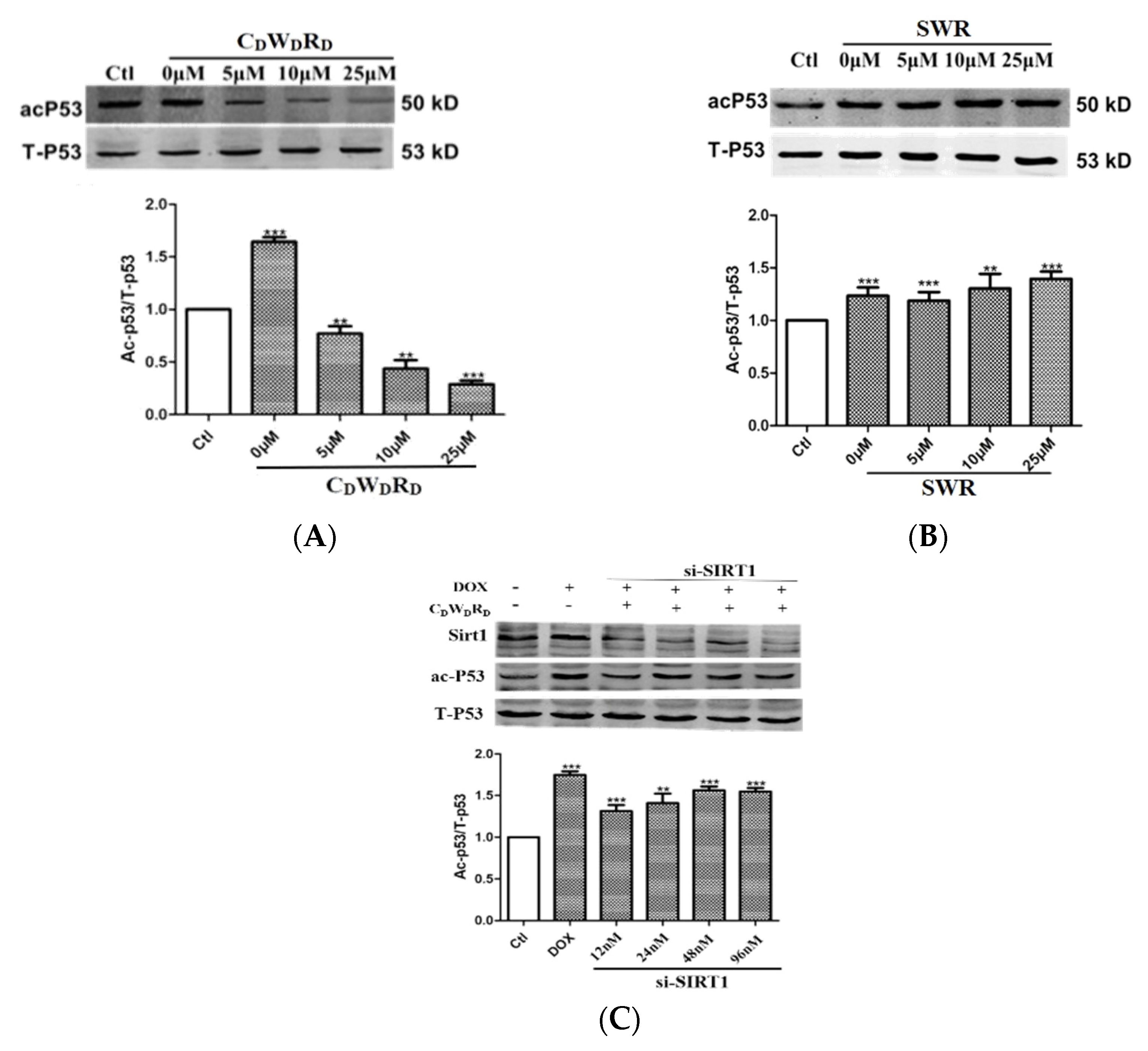 Molecules 27 02714 g010 550