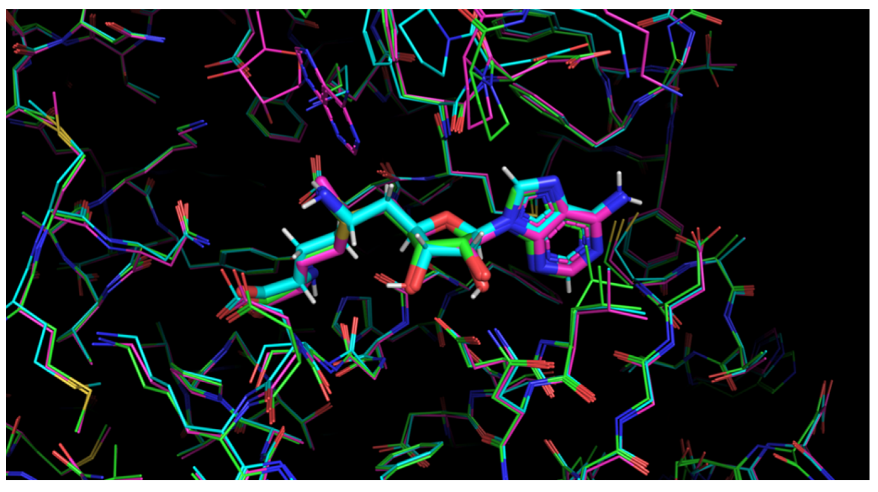 Molecules 27 02721 g004