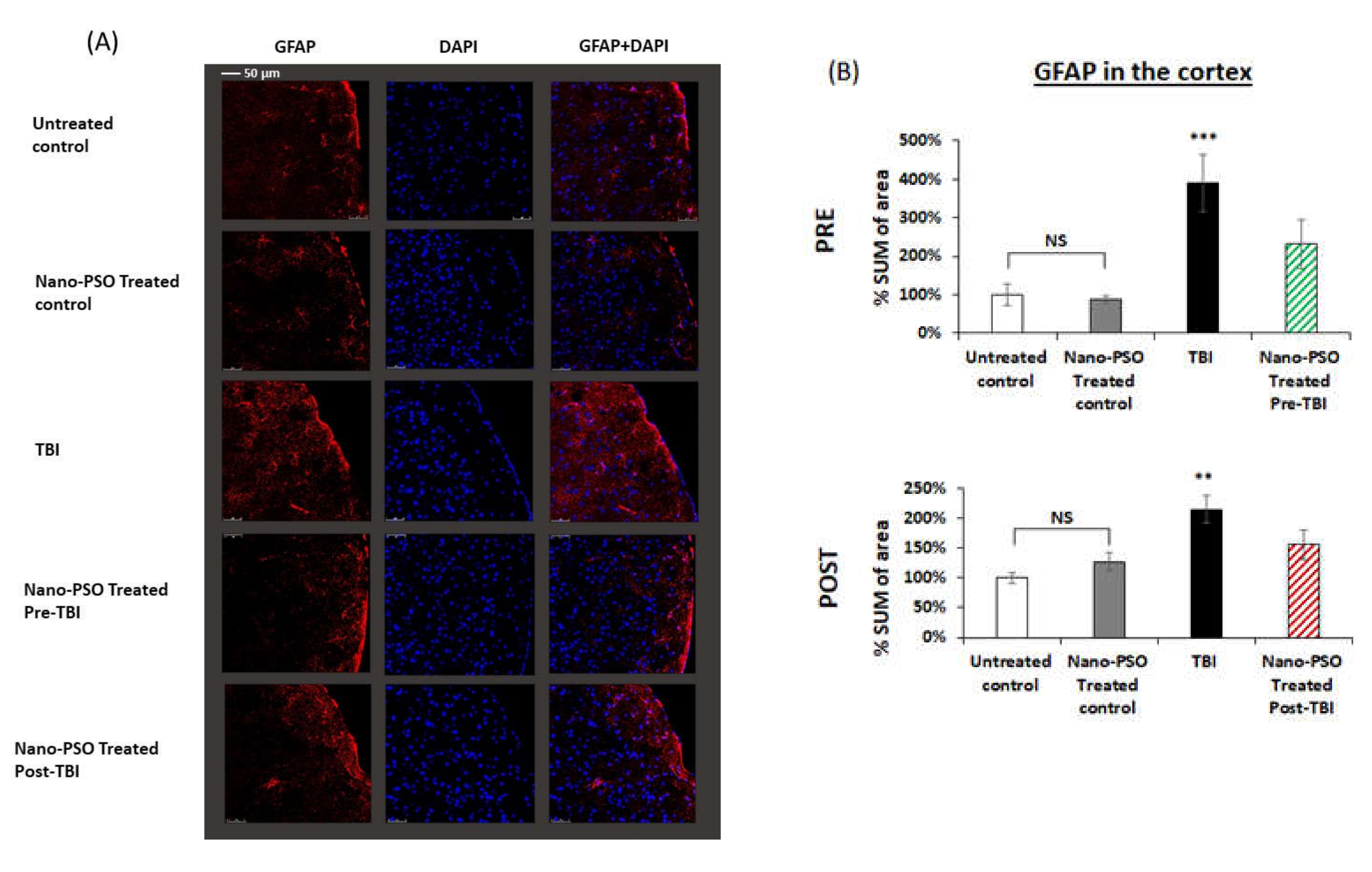 Molecules 27 02725 g005