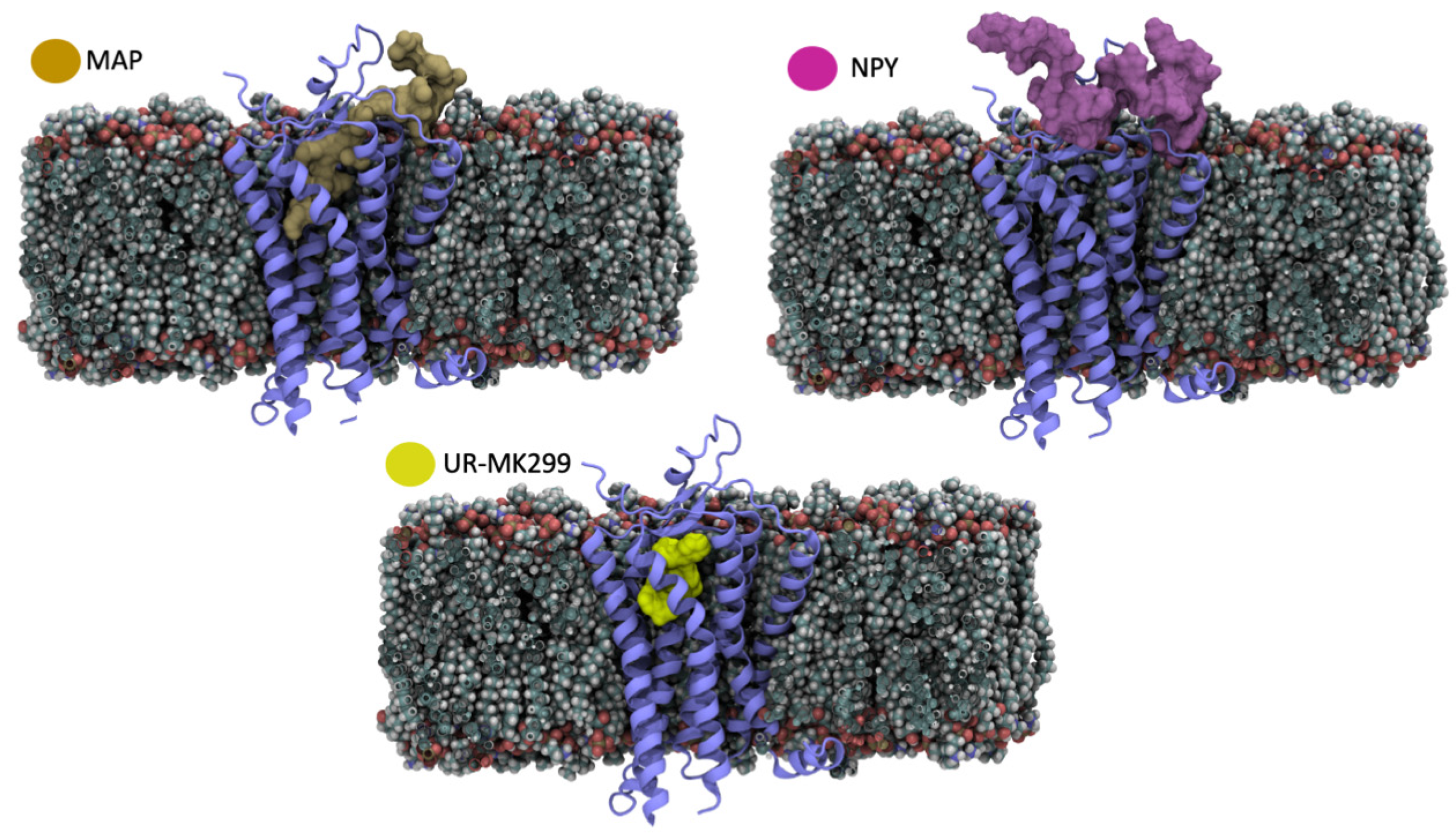 Molecules 27 02734 g008