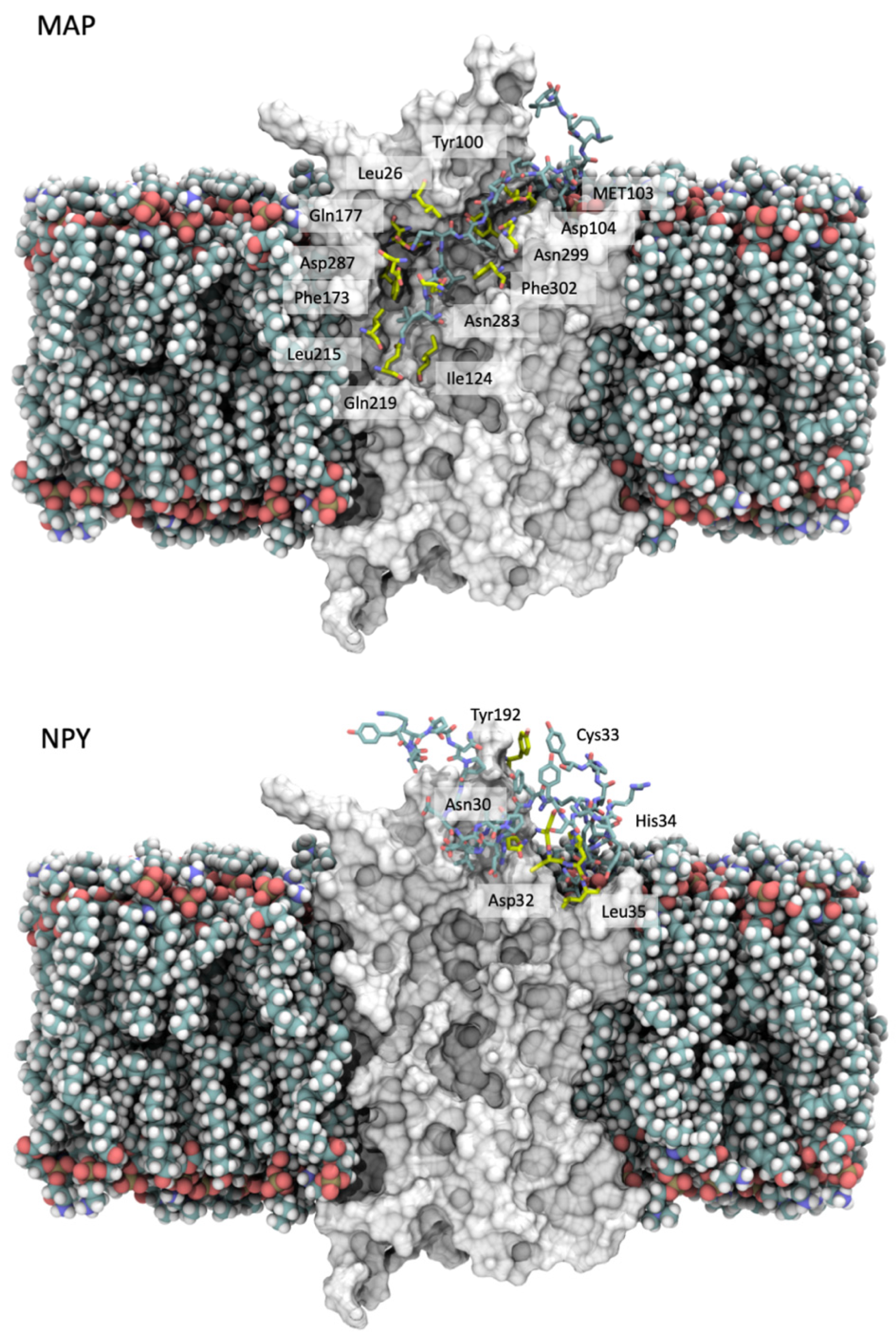 Molecules 27 02734 g009
