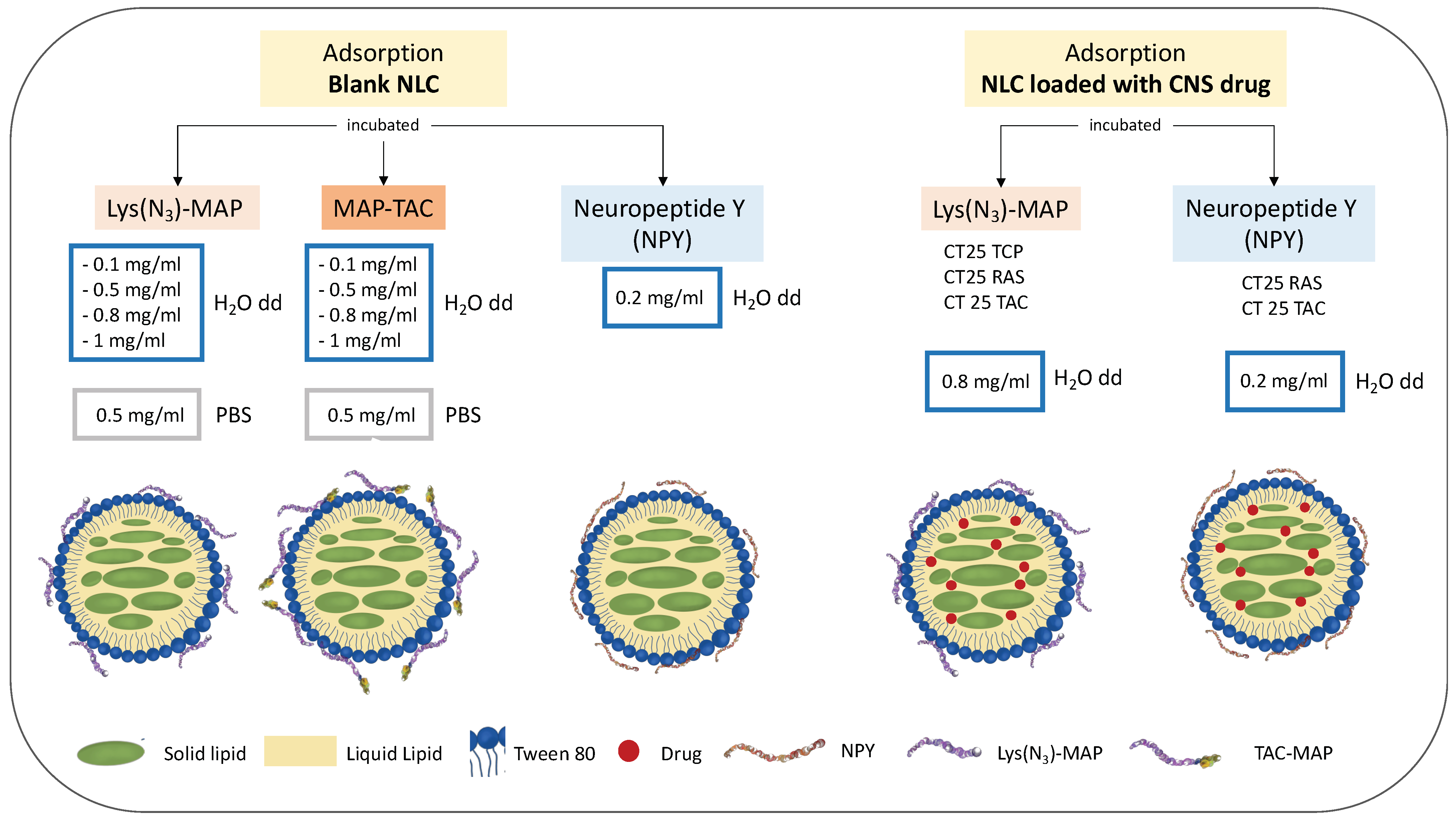 Molecules 27 02734 sch001