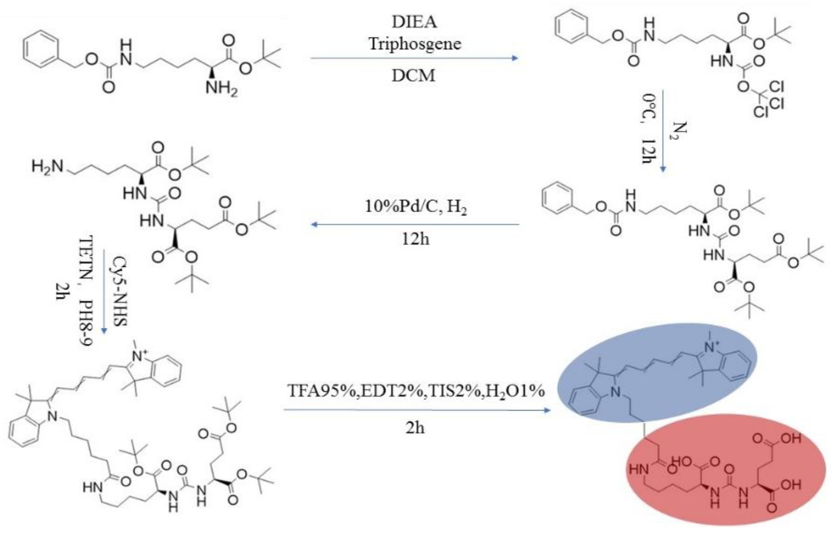 Molecules 27 02736 g001