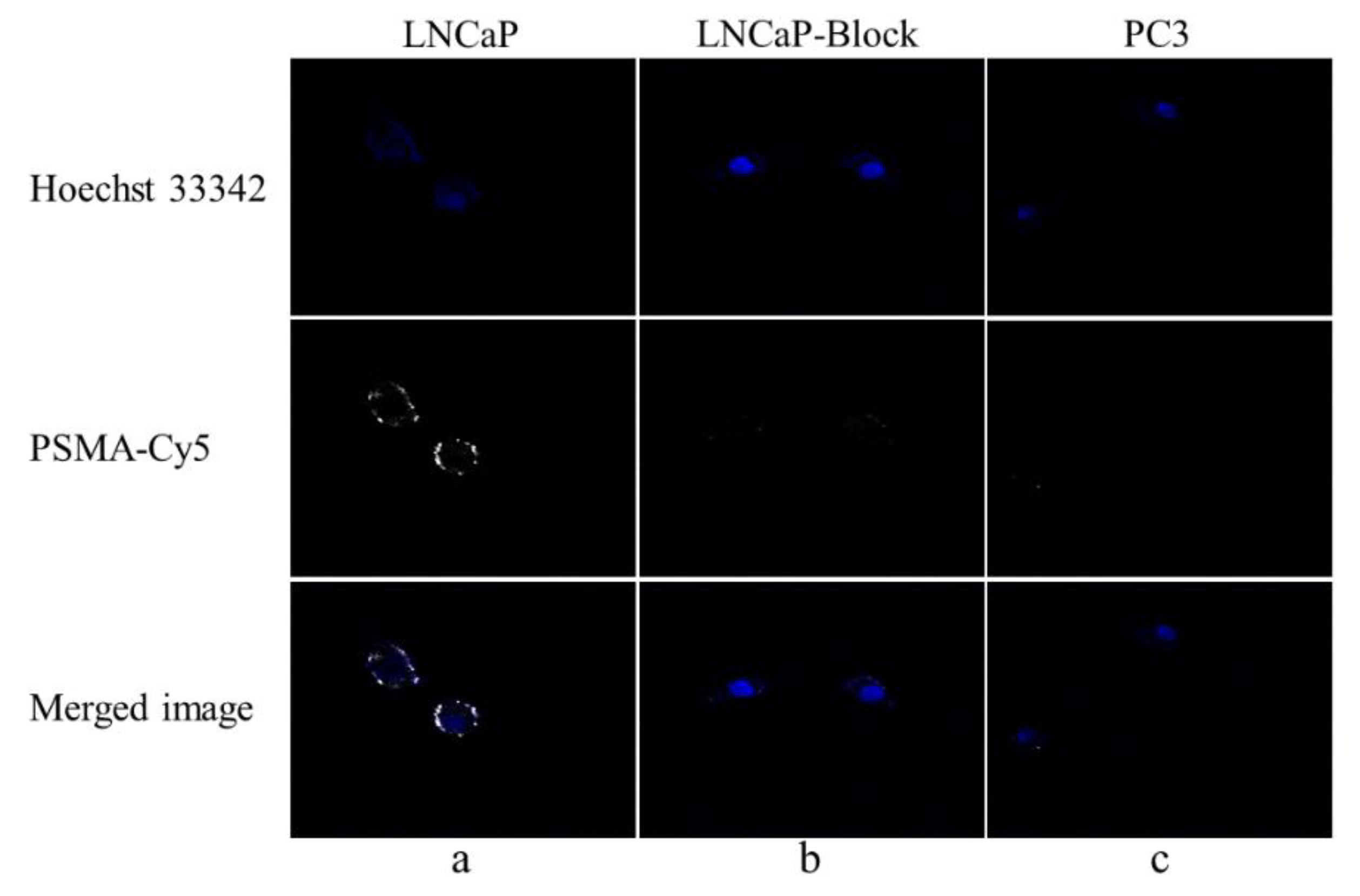 Molecules 27 02736 g005