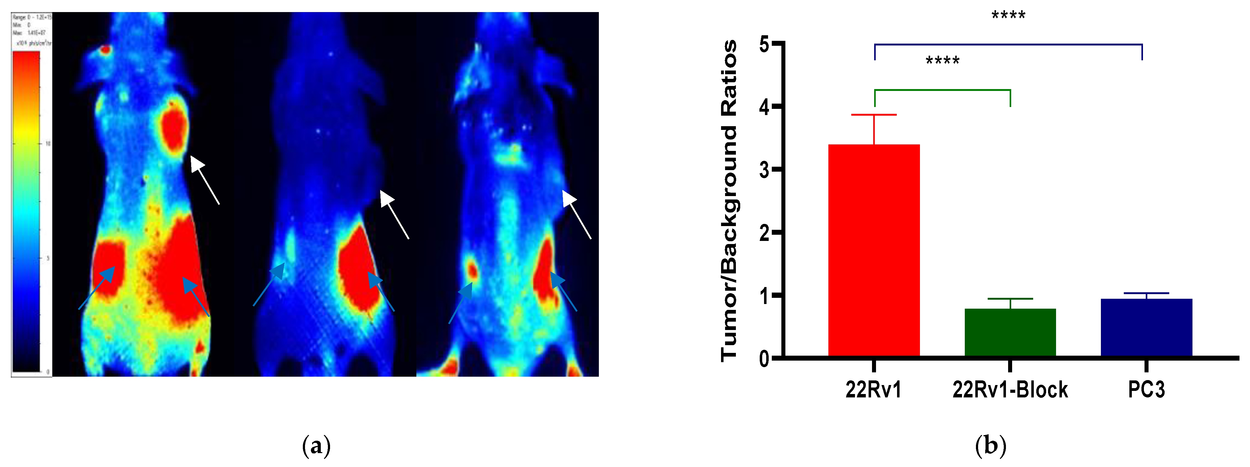 Molecules 27 02736 g007