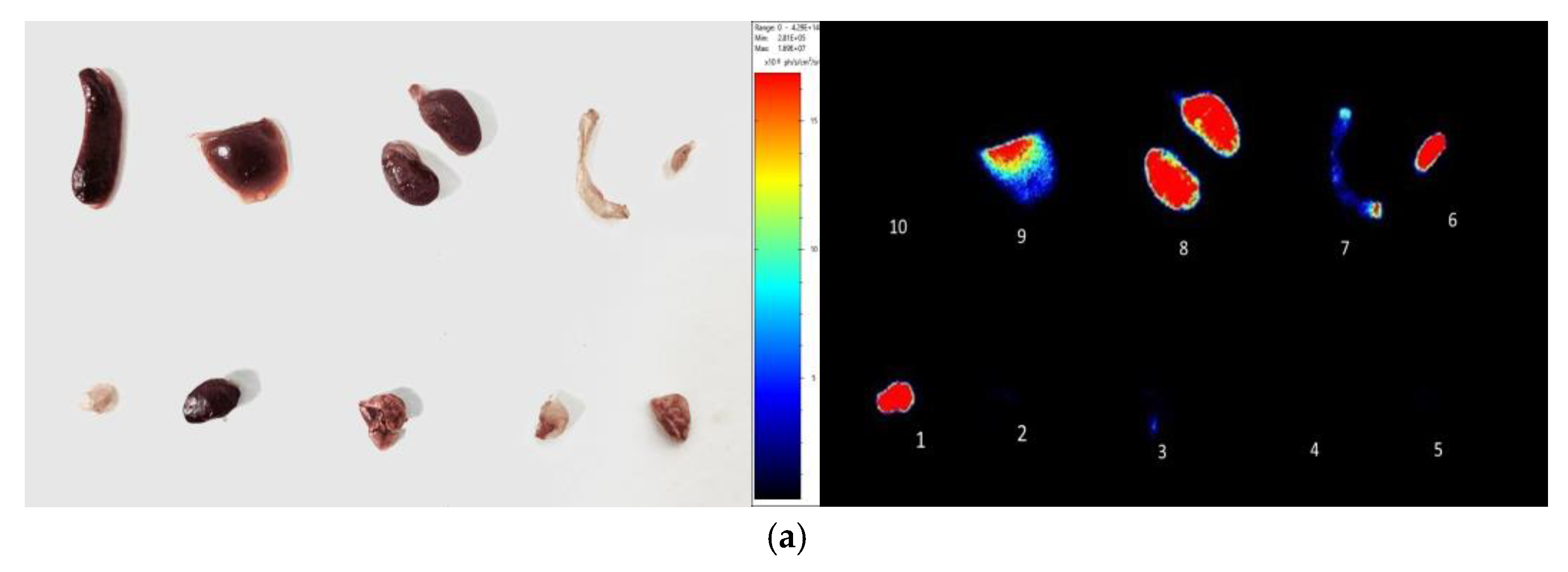 Molecules 27 02736 g008a