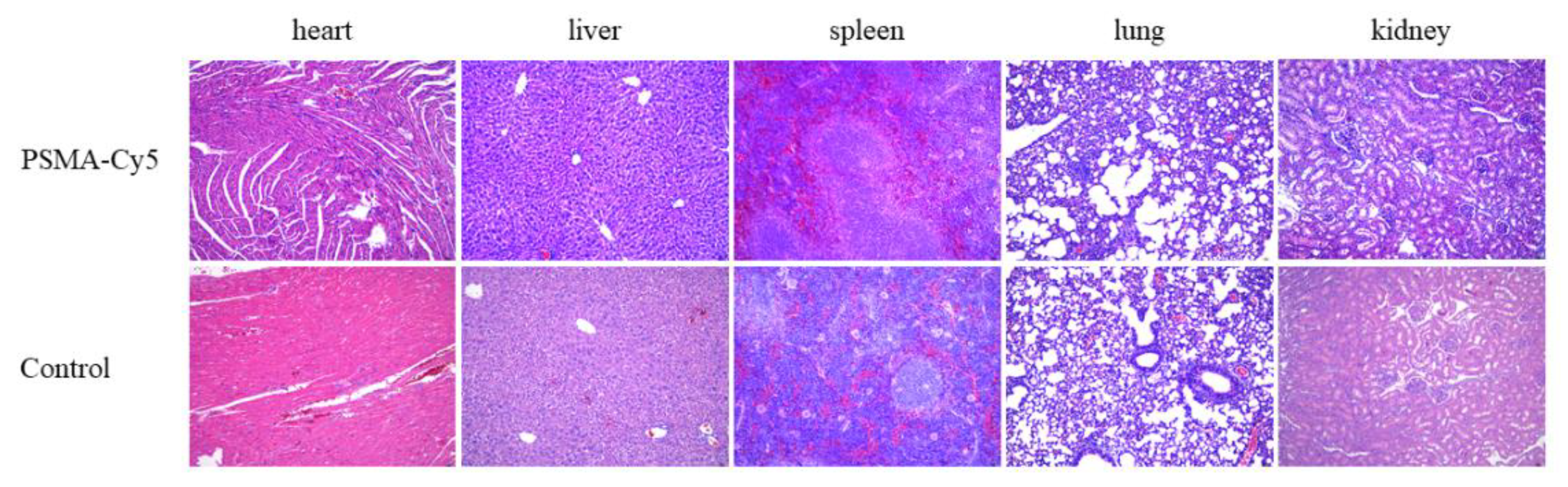 Molecules 27 02736 g009