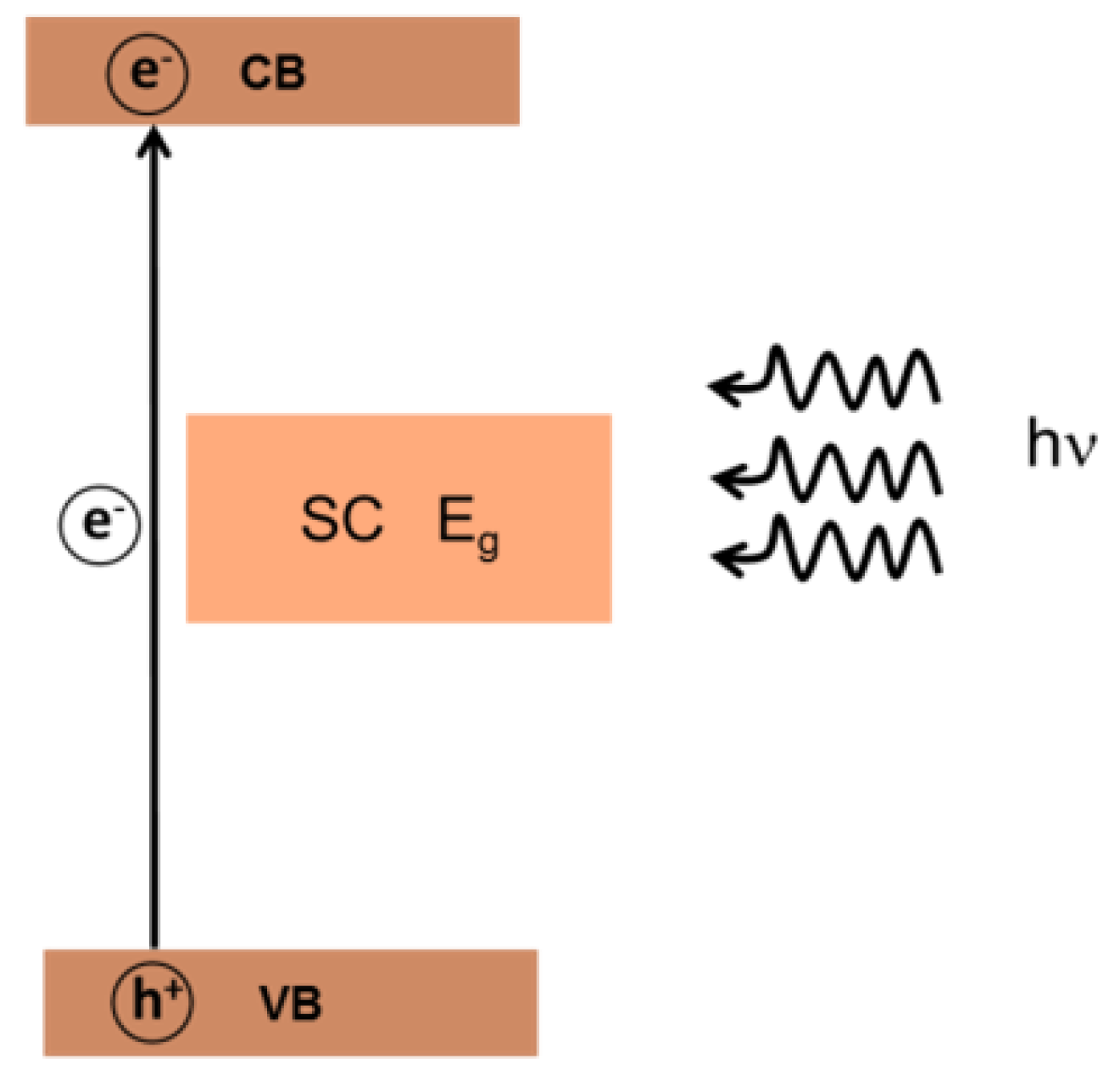 Molecules 27 02743 g005