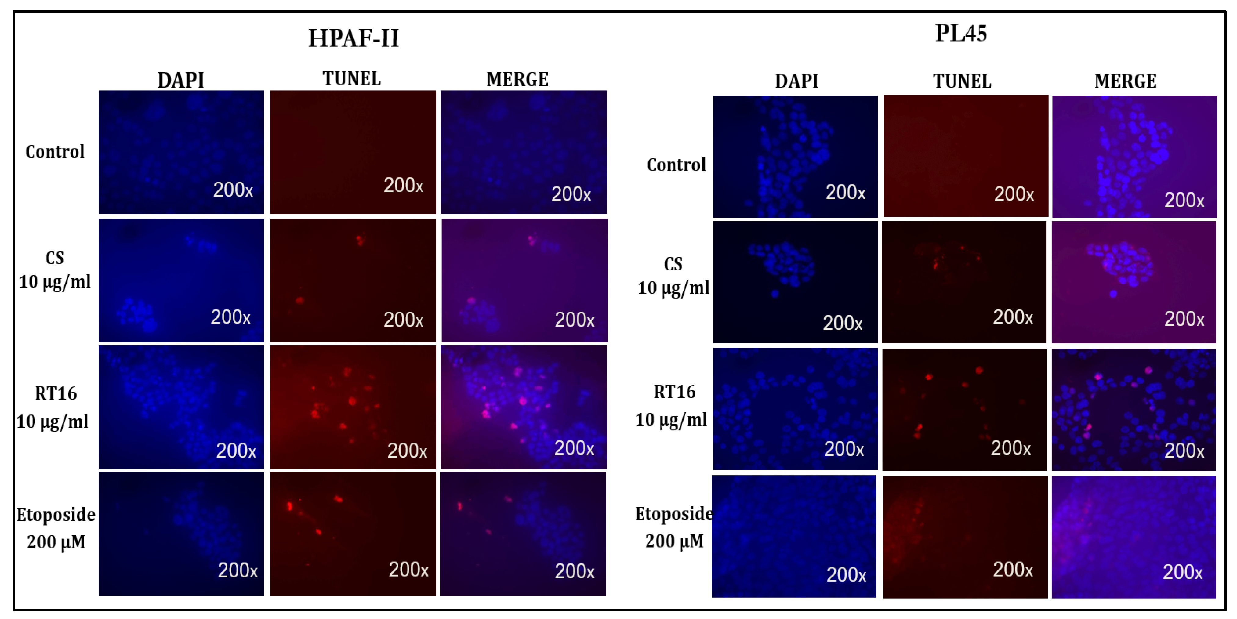 Molecules 27 02746 g007