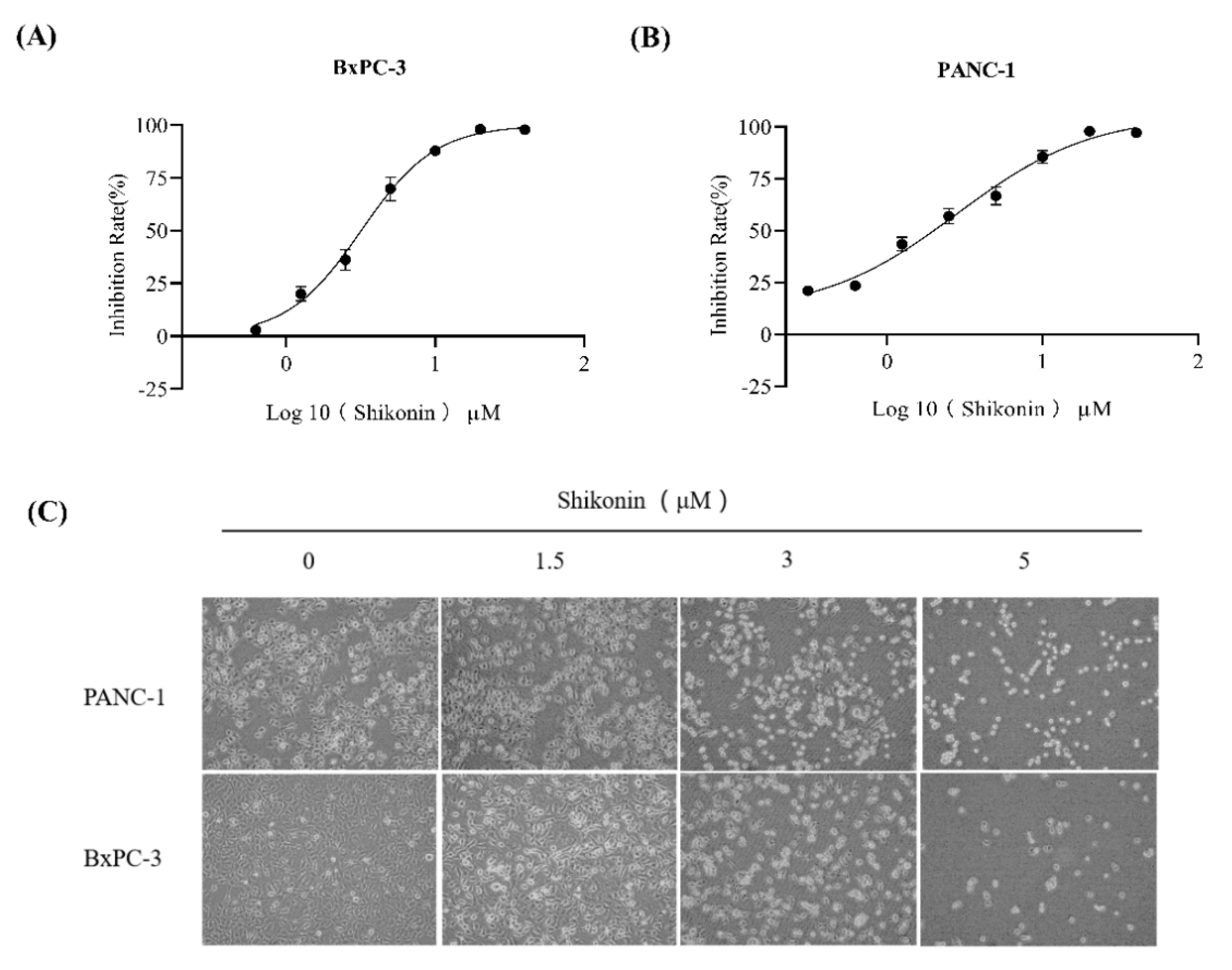 Molecules 27 02747 g003