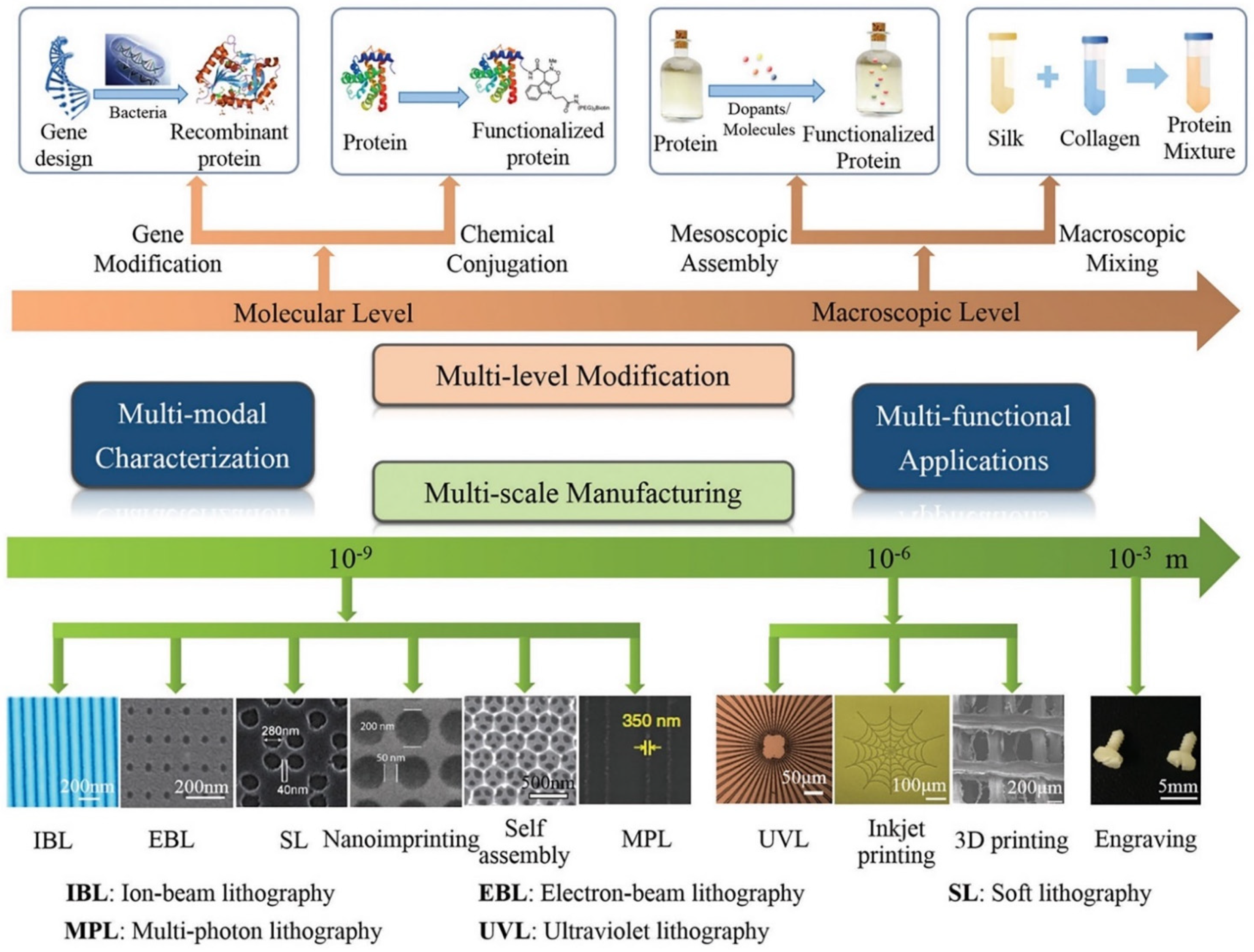 Molecules 27 02757 g007 550